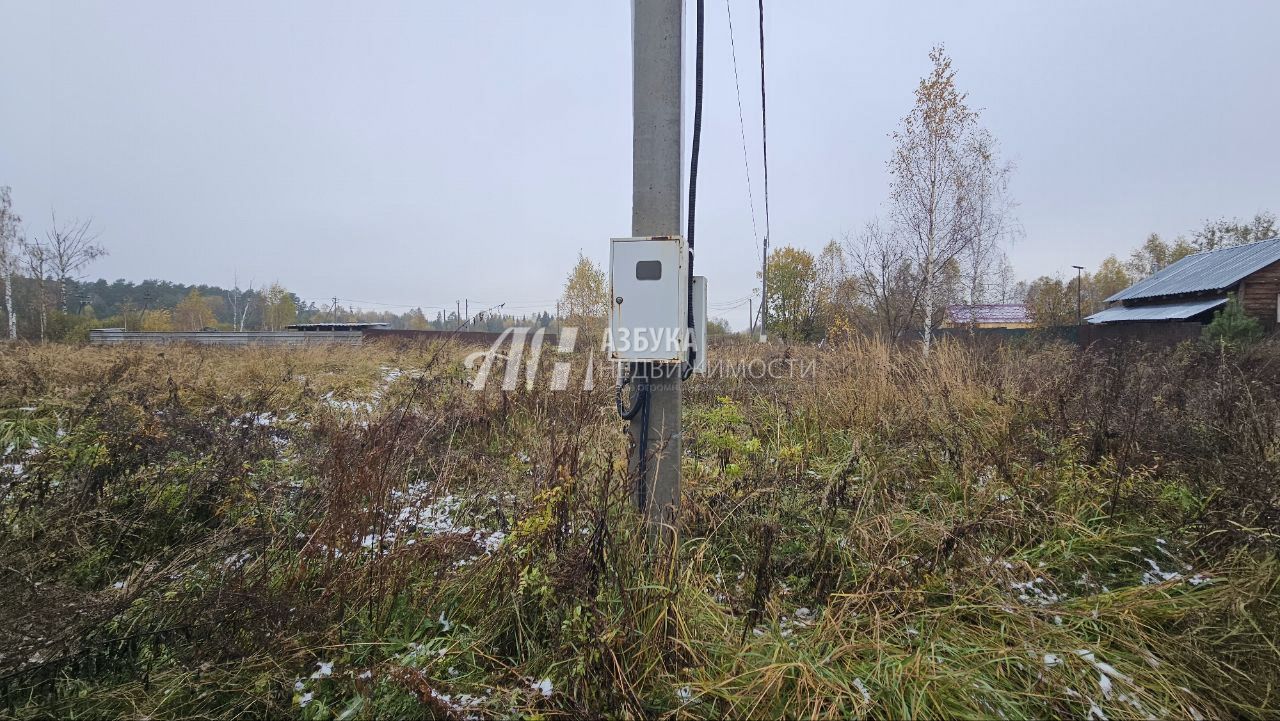 Земли поселения Московская область, Богородский городской округ, село Ямкино