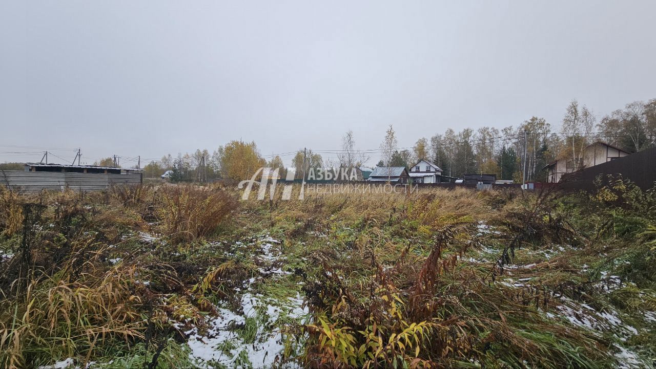 Земли поселения Московская область, Богородский городской округ, село Ямкино