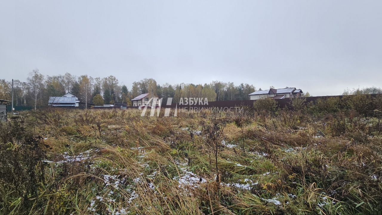 Земли поселения Московская область, Богородский городской округ, село Ямкино