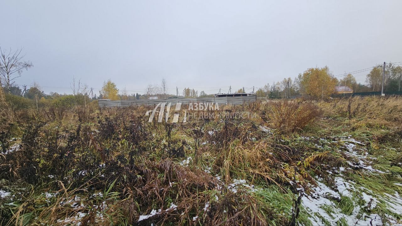 Земли поселения Московская область, Богородский городской округ, село Ямкино