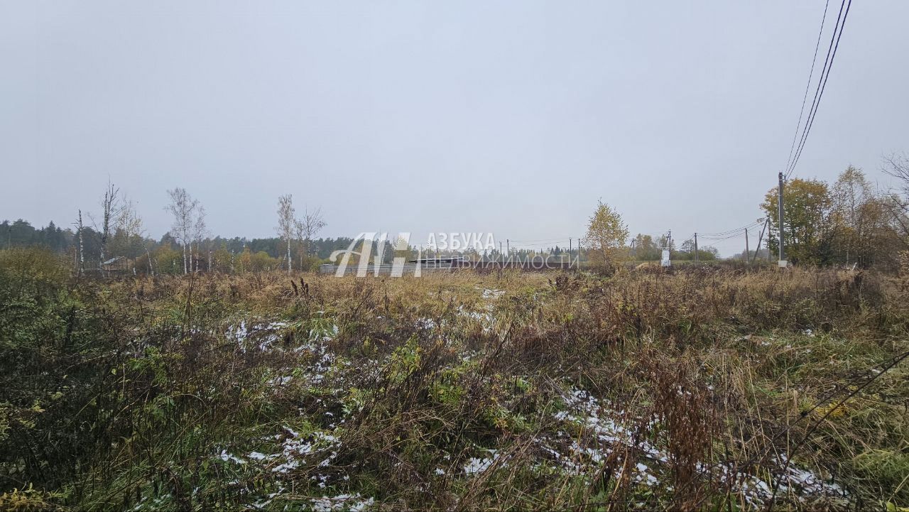 Земли поселения Московская область, Богородский городской округ, село Ямкино