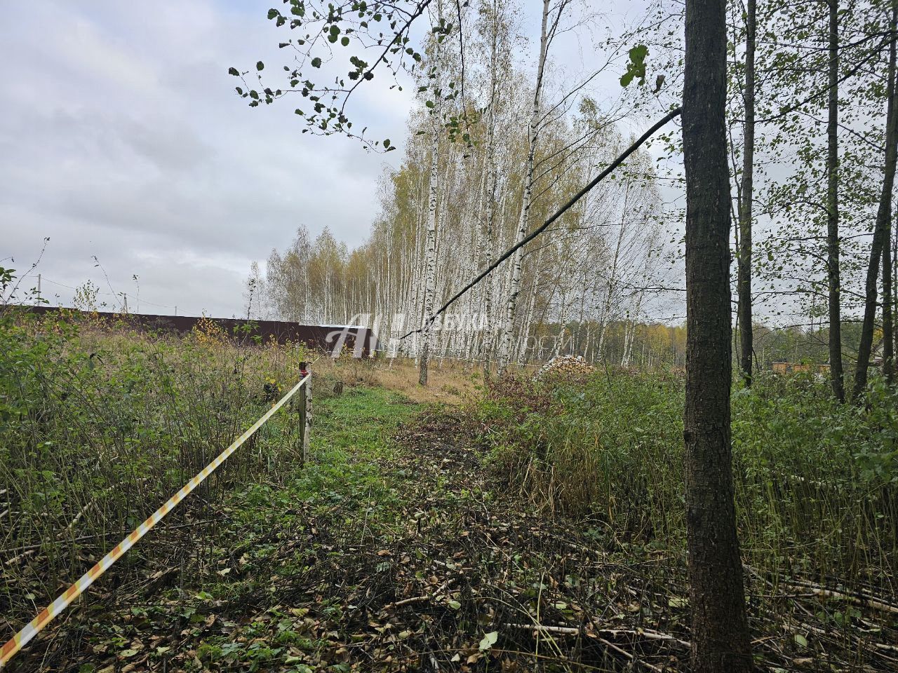 Земли поселения Московская область, Богородский городской округ, посёлок Колышкино Болото