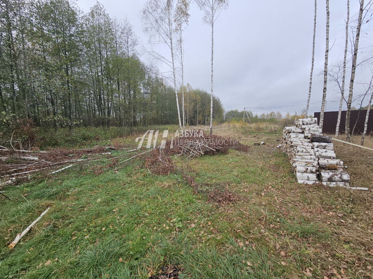 Земли поселения Московская область, Богородский городской округ, посёлок Колышкино Болото