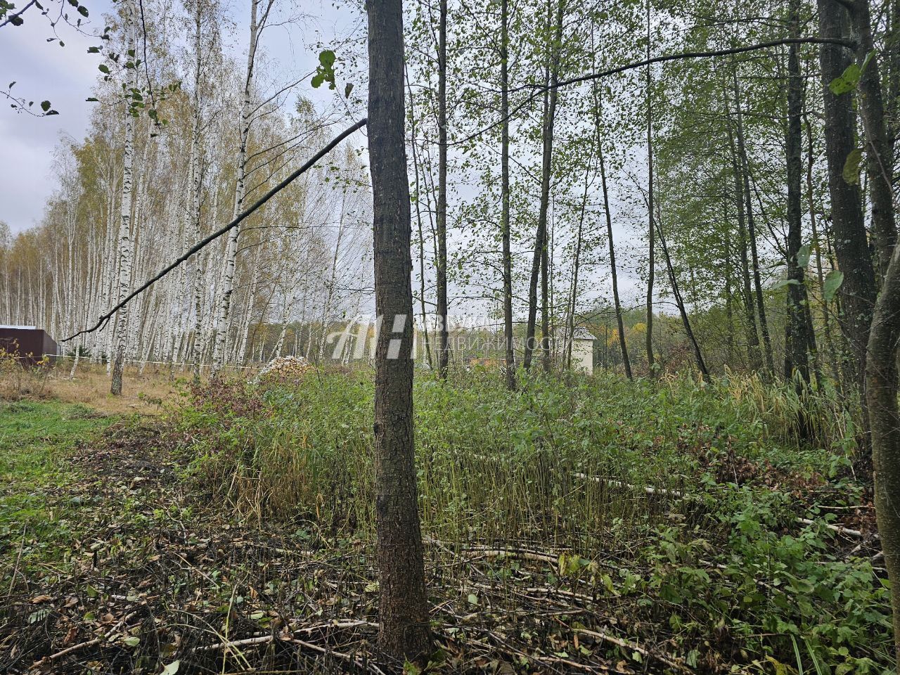 Земли поселения Московская область, Богородский городской округ, посёлок Колышкино Болото