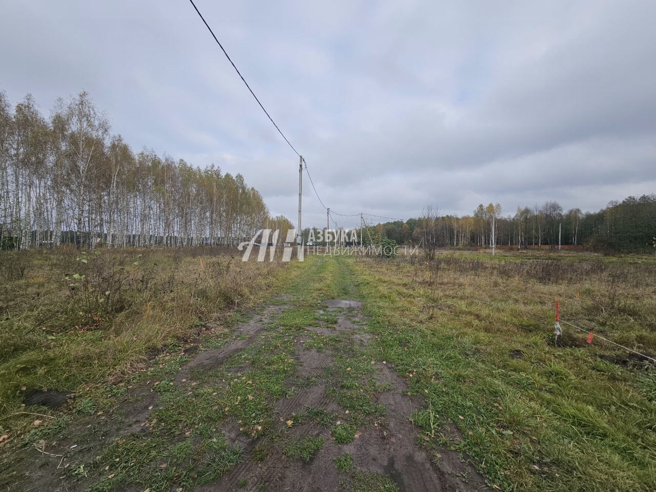 Земли поселения Московская область, Богородский городской округ, посёлок Колышкино Болото