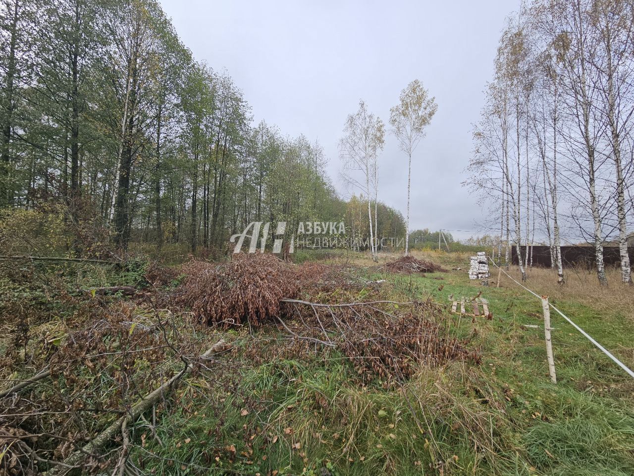 Земли поселения Московская область, Богородский городской округ, посёлок Колышкино Болото