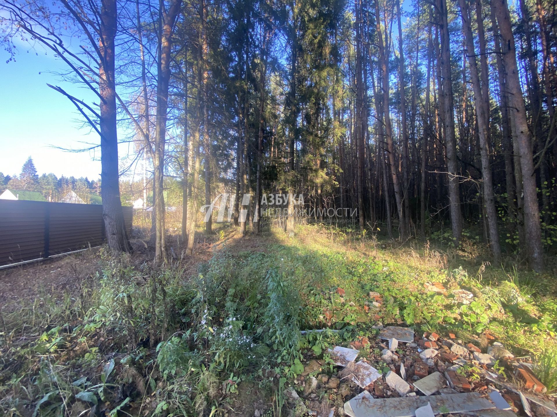 Земли поселения Московская область, Наро-Фоминск, Хвойная улица