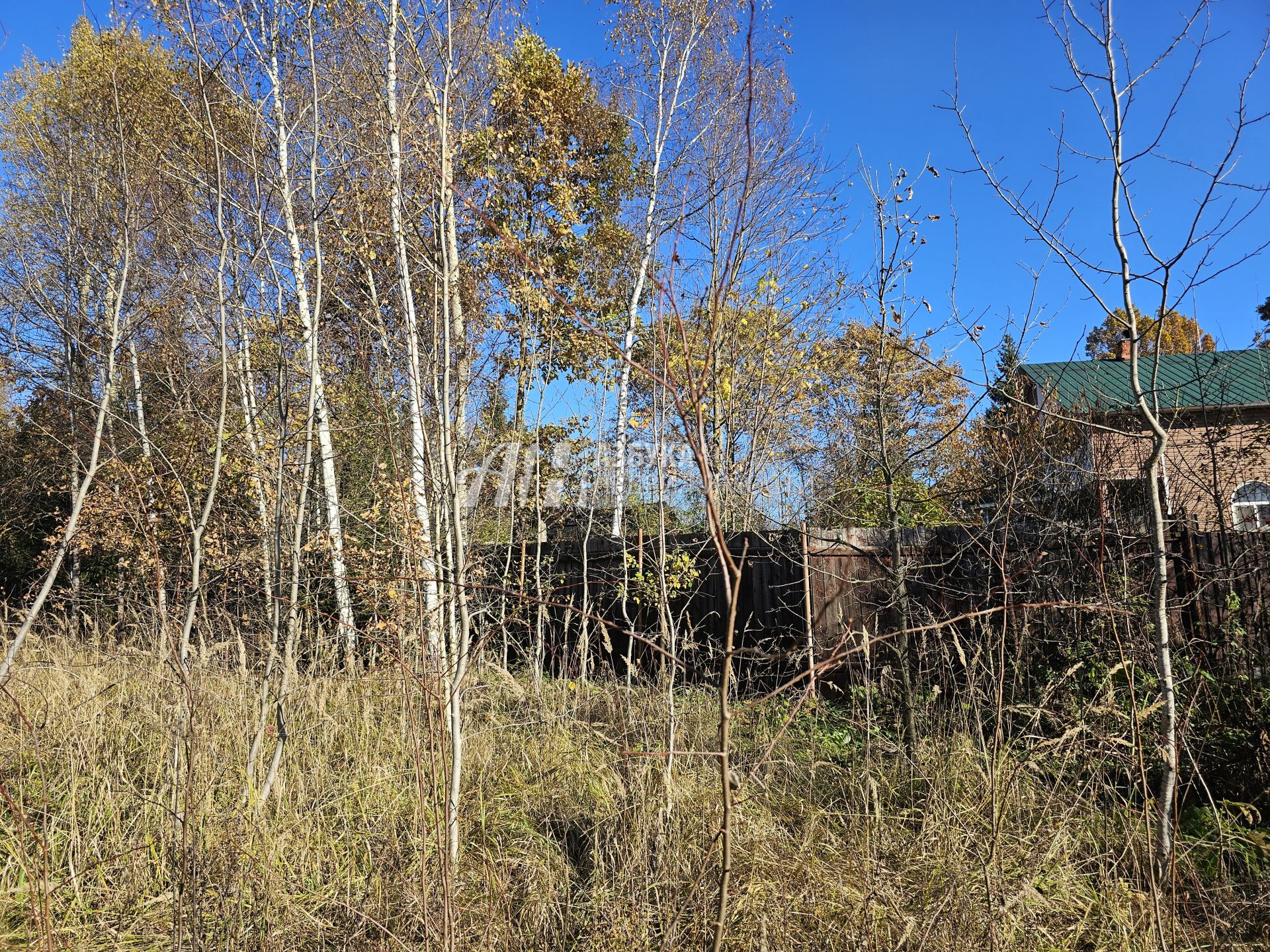  Московская область, Рузский городской округ, деревня Старая Руза, Крайняя улица