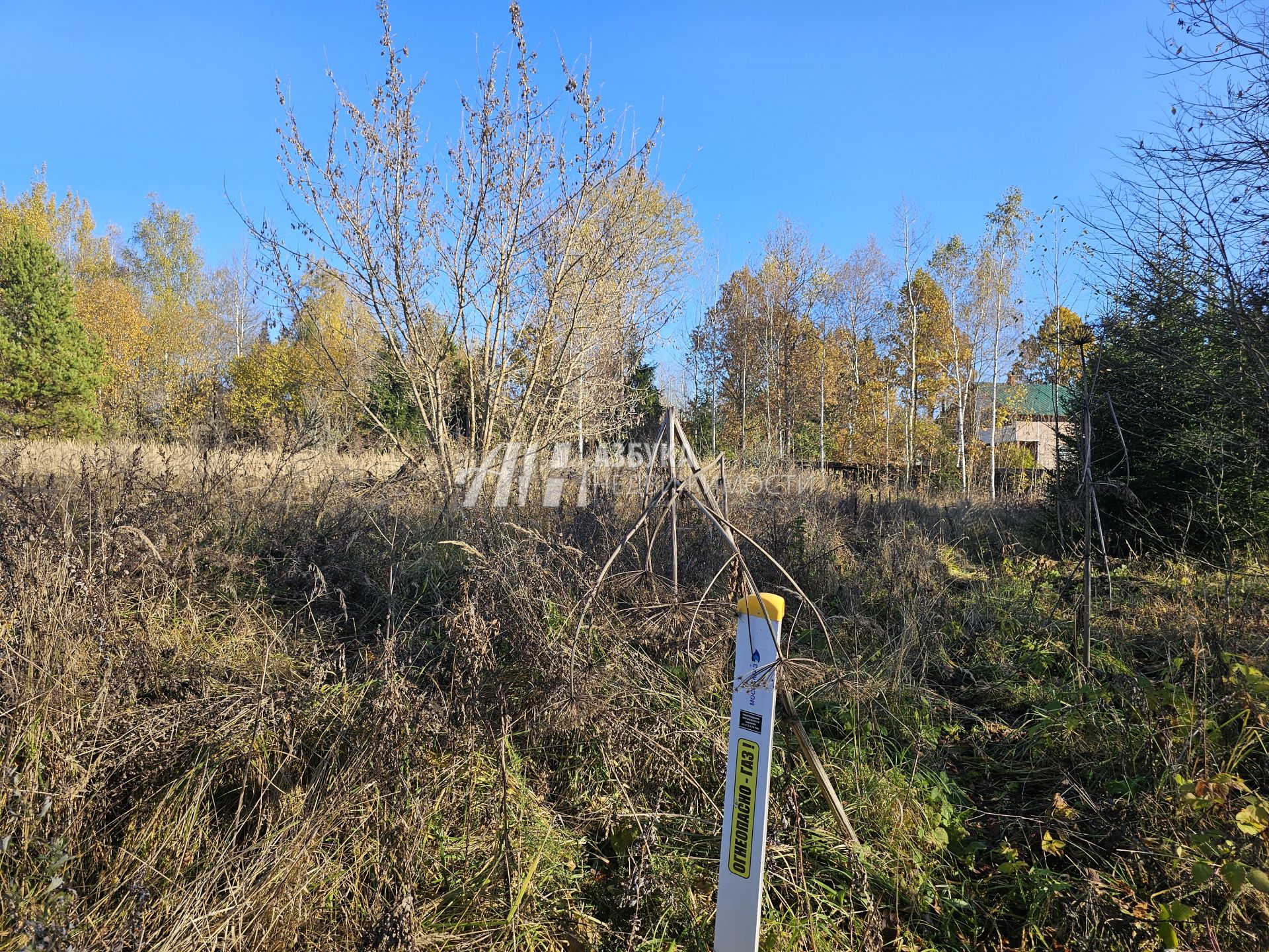  Московская область, Рузский городской округ, деревня Старая Руза, Крайняя улица