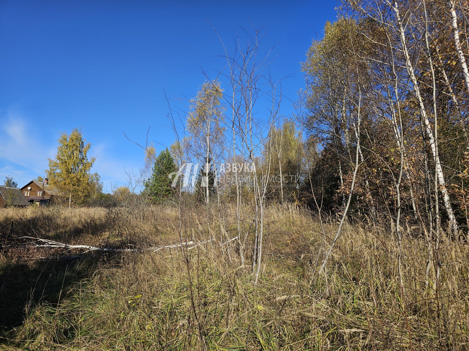  Московская область, Рузский городской округ, деревня Старая Руза, Крайняя улица