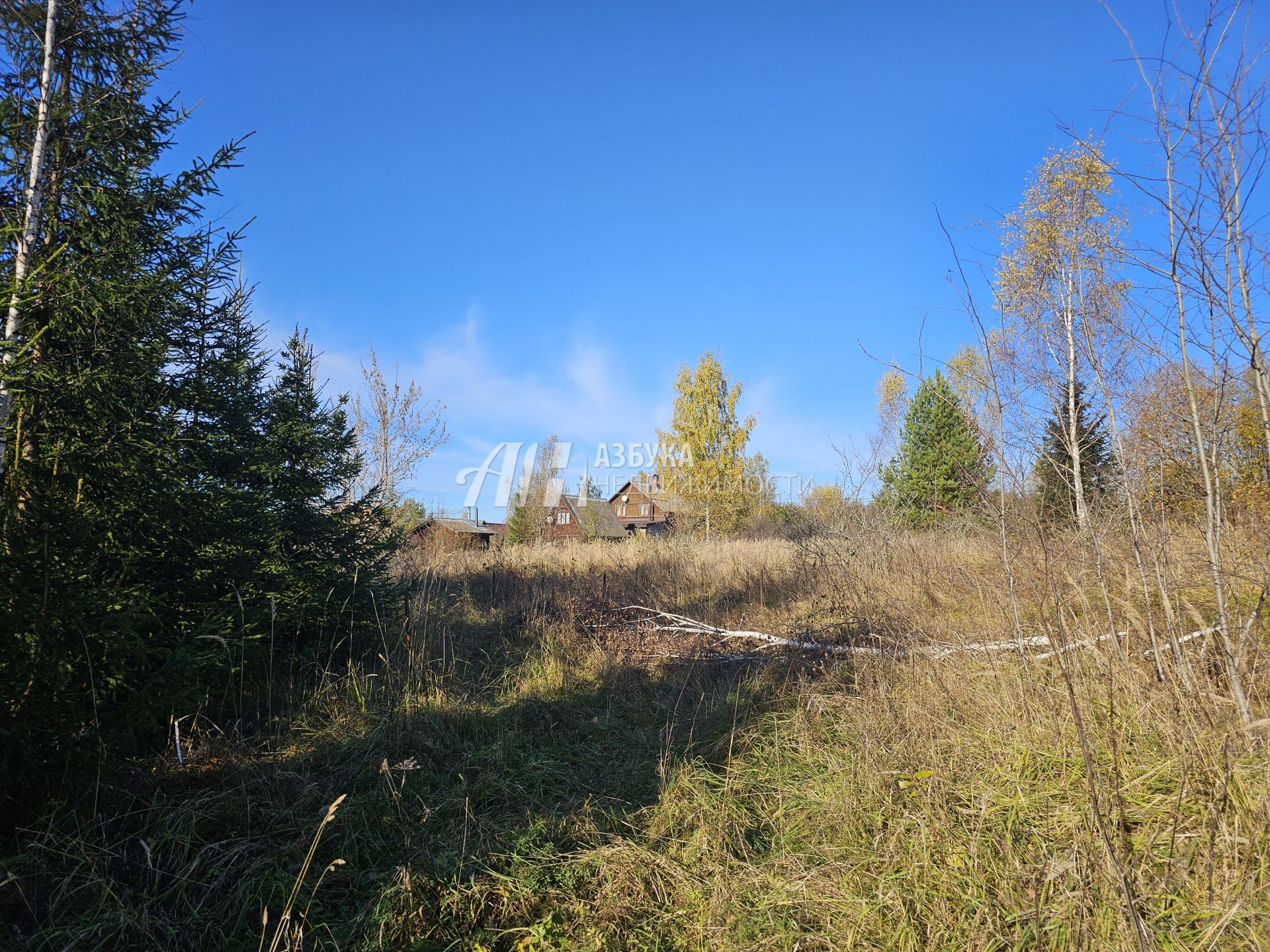  Московская область, Рузский городской округ, деревня Старая Руза, Крайняя улица