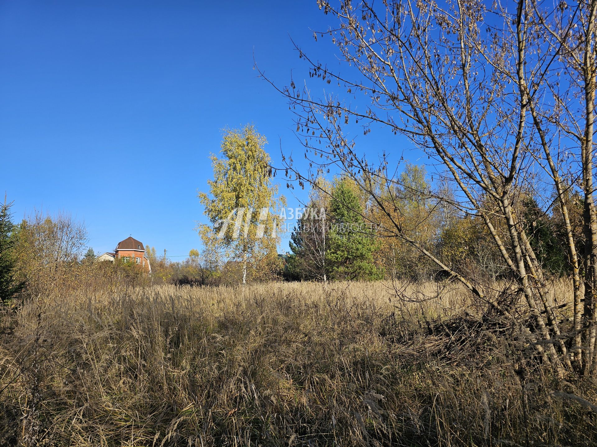  Московская область, Рузский городской округ, деревня Старая Руза, Крайняя улица