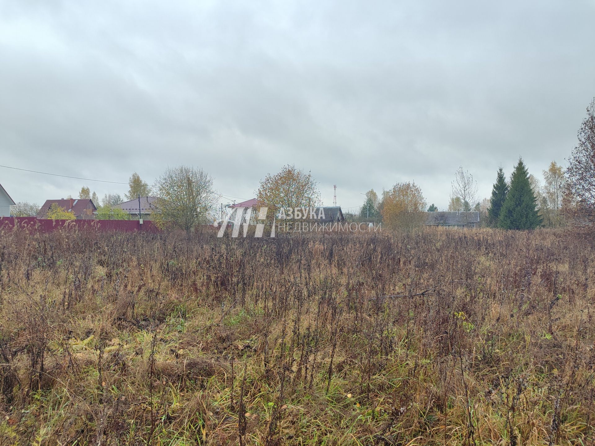  Московская область, Можайский городской округ, деревня Горетово