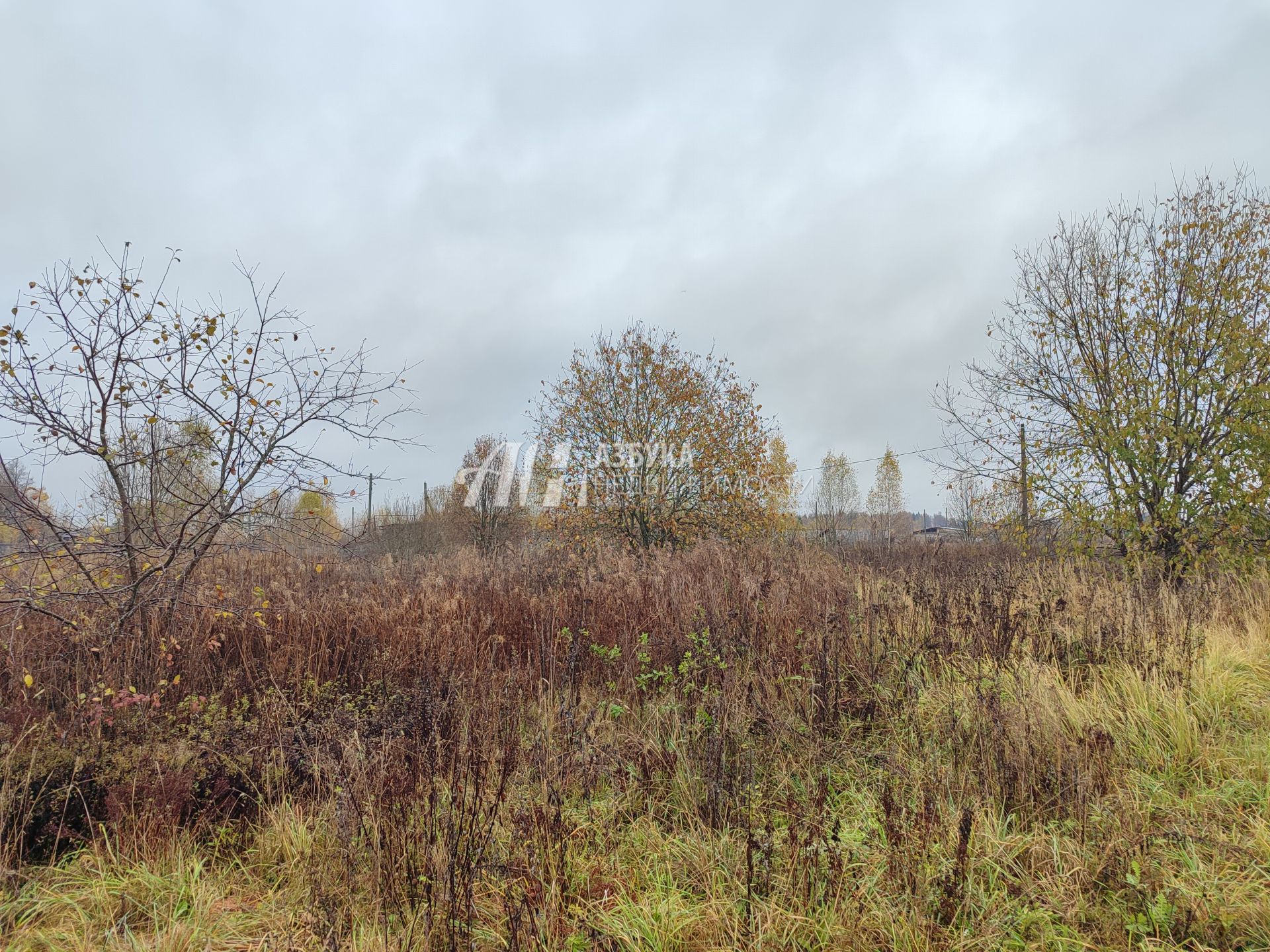  Московская область, Можайский городской округ, деревня Горетово