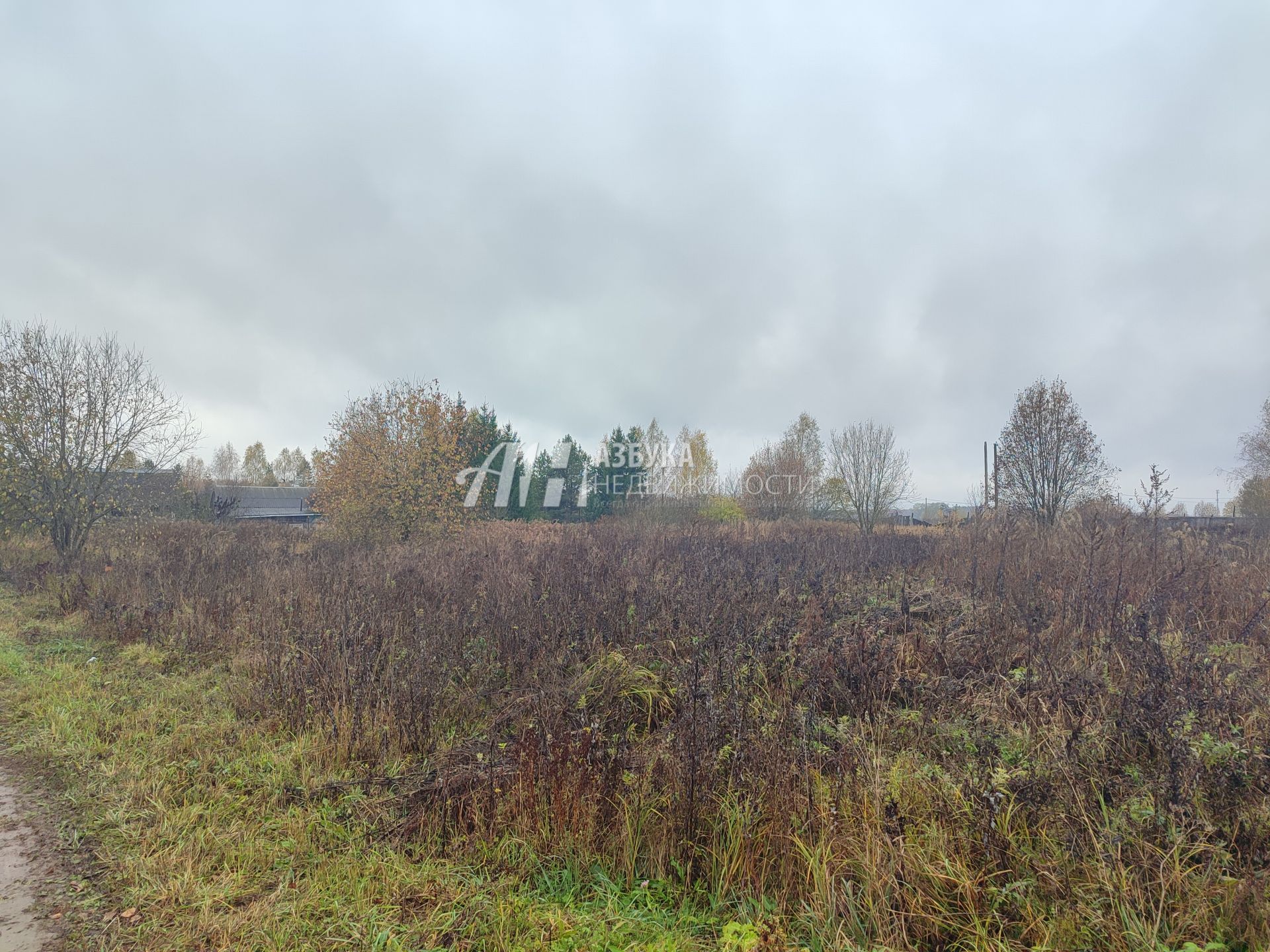  Московская область, Можайский городской округ, деревня Горетово