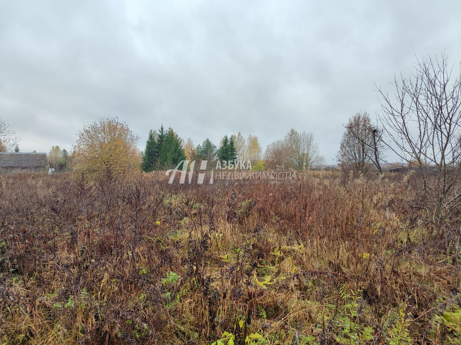  Московская область, Можайский городской округ, деревня Горетово