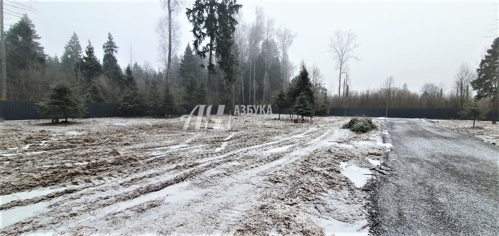 Земли поселения Московская область, Наро-Фоминский городской округ, деревня Селятино