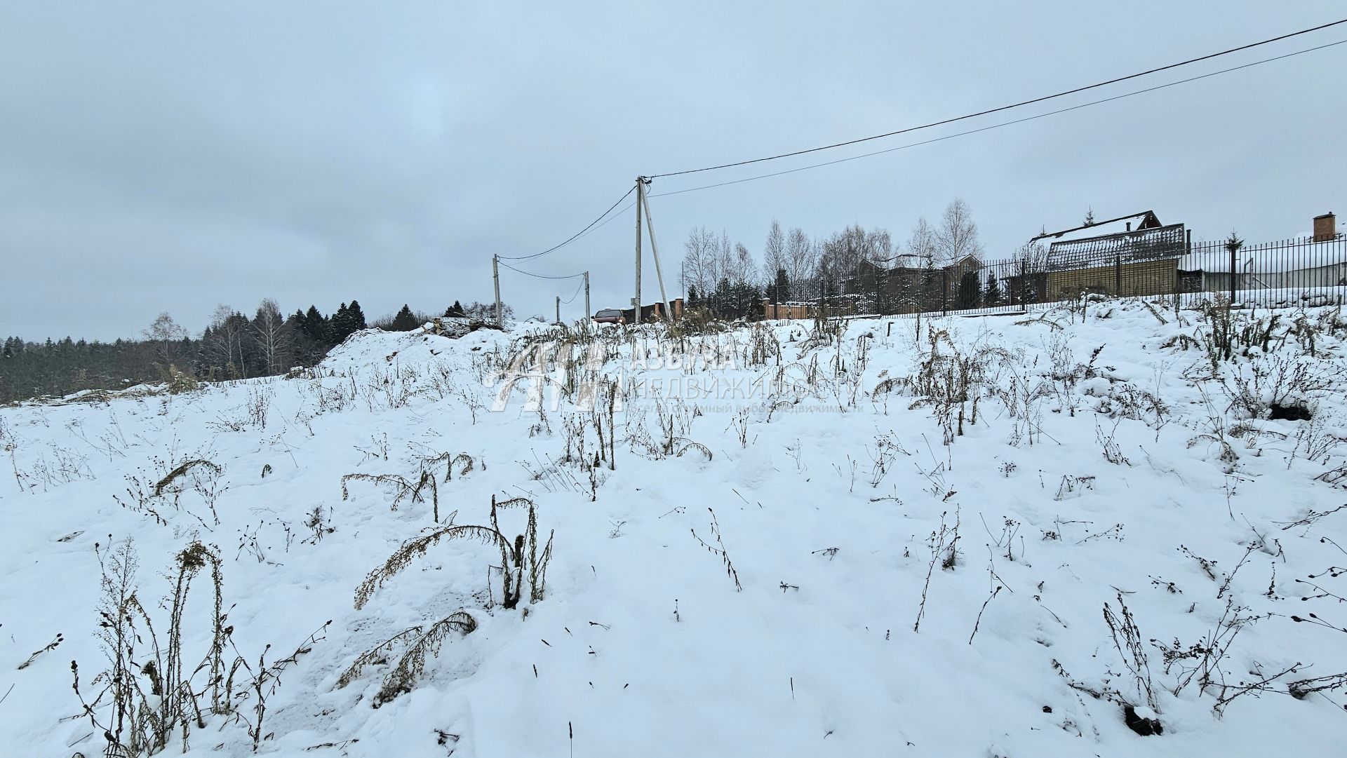 Земли поселения Московская область, городской округ Истра, деревня Кашино