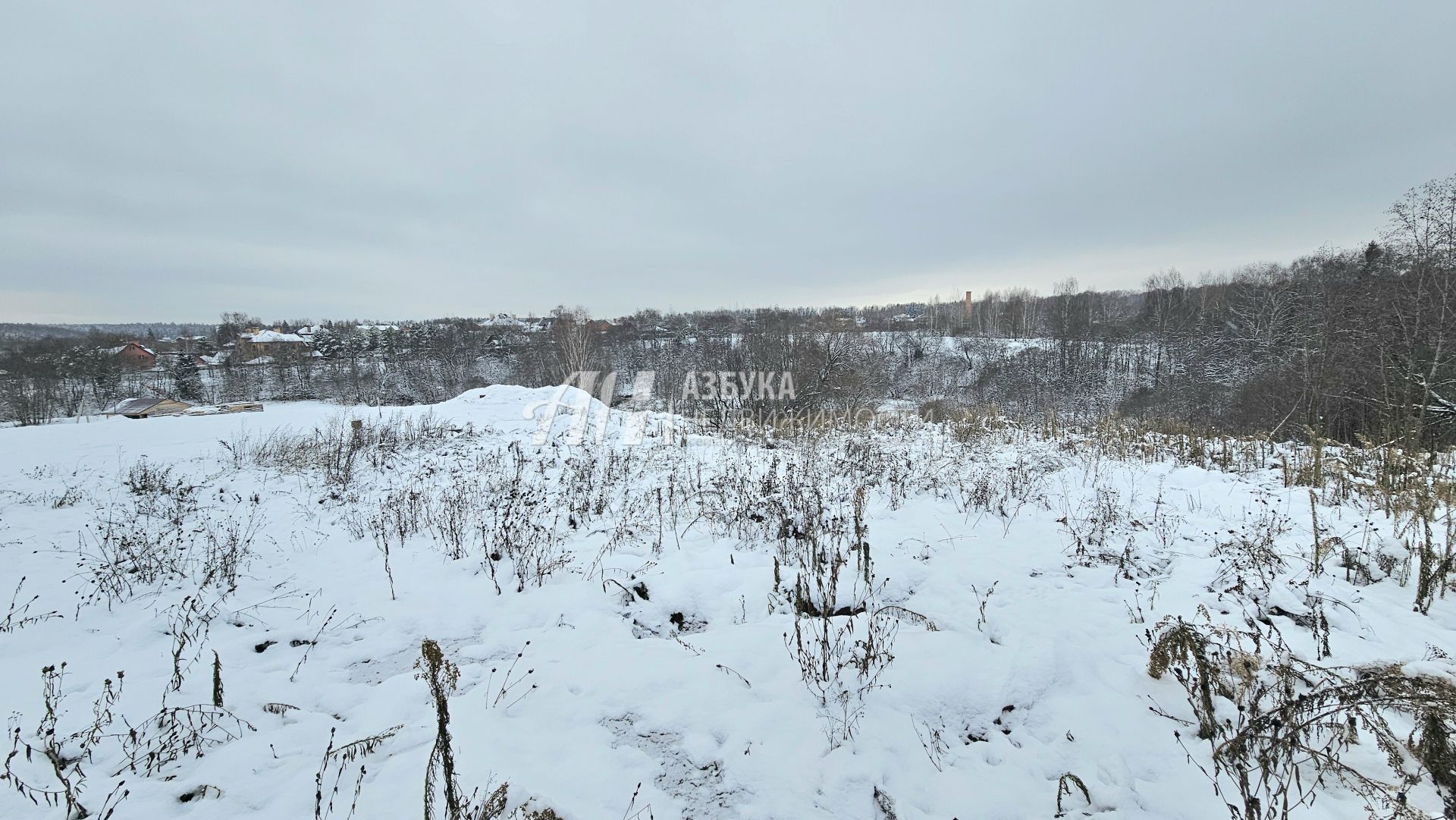 Земли поселения Московская область, городской округ Истра, деревня Кашино