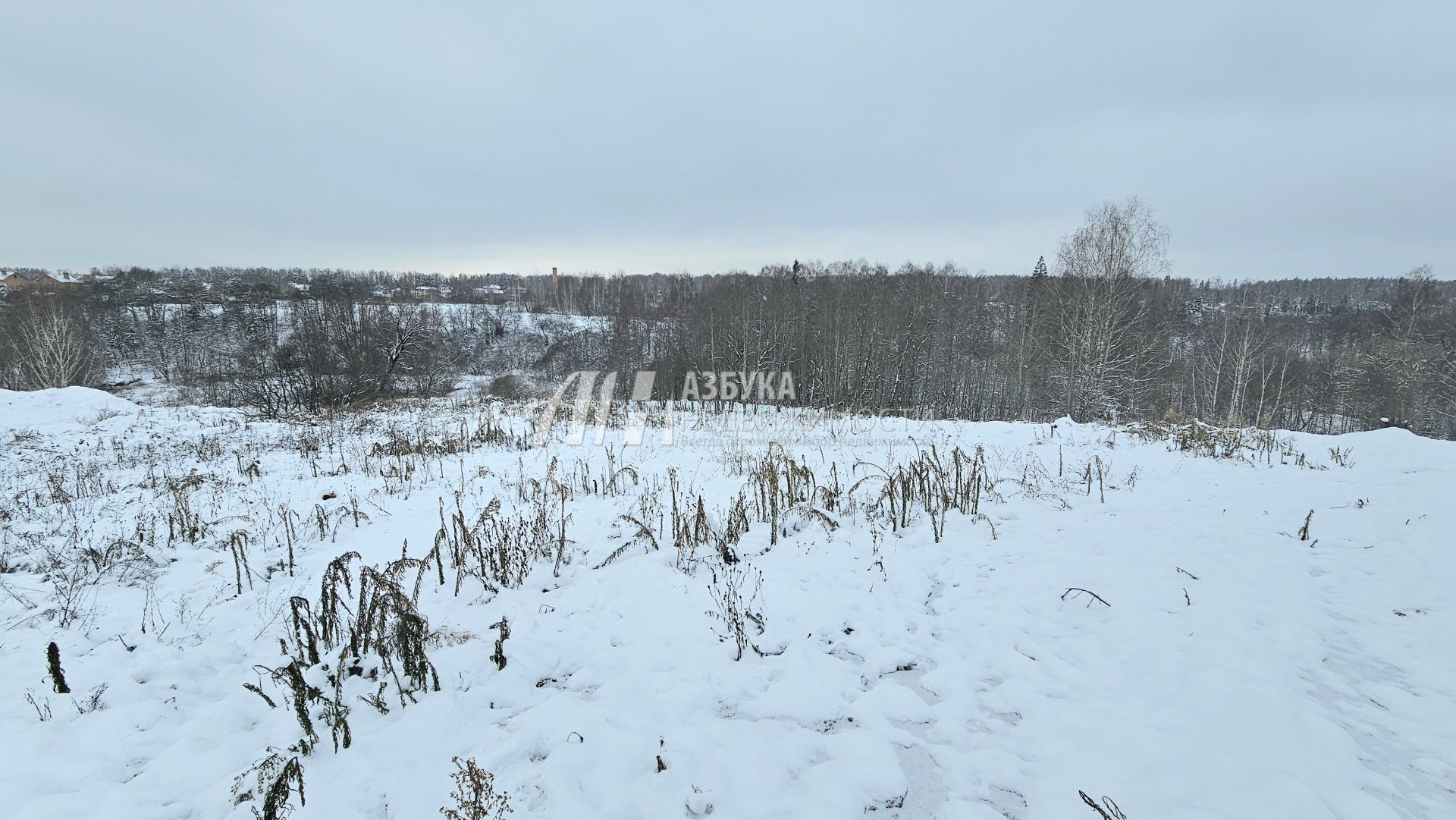 Земли поселения Московская область, городской округ Истра, деревня Кашино