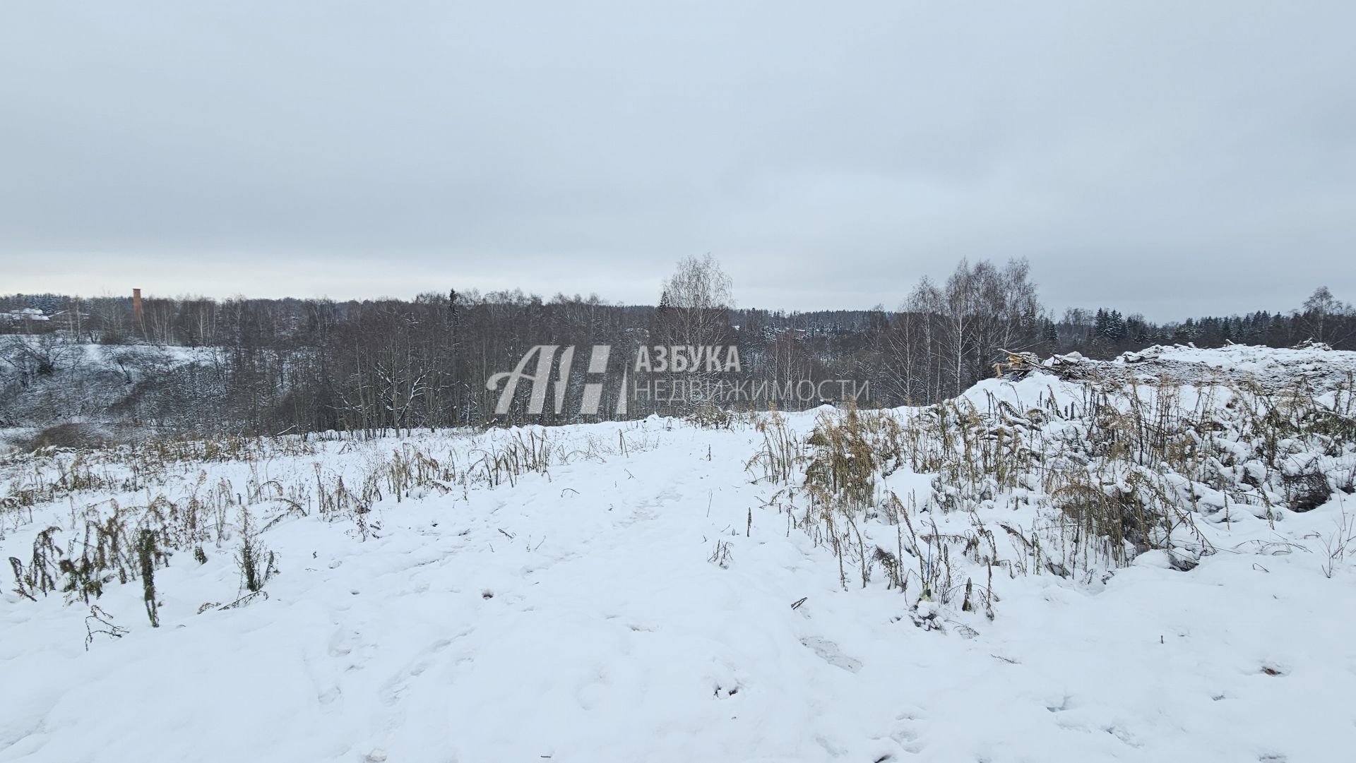 Земли поселения Московская область, городской округ Истра, деревня Кашино