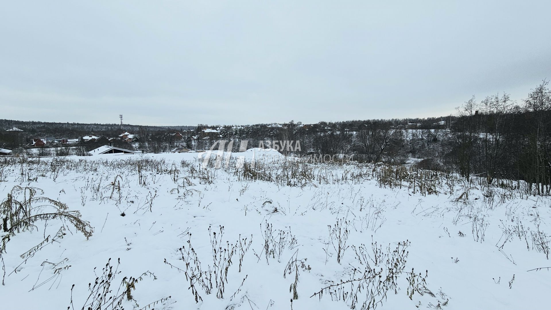 Земли поселения Московская область, городской округ Истра, деревня Кашино