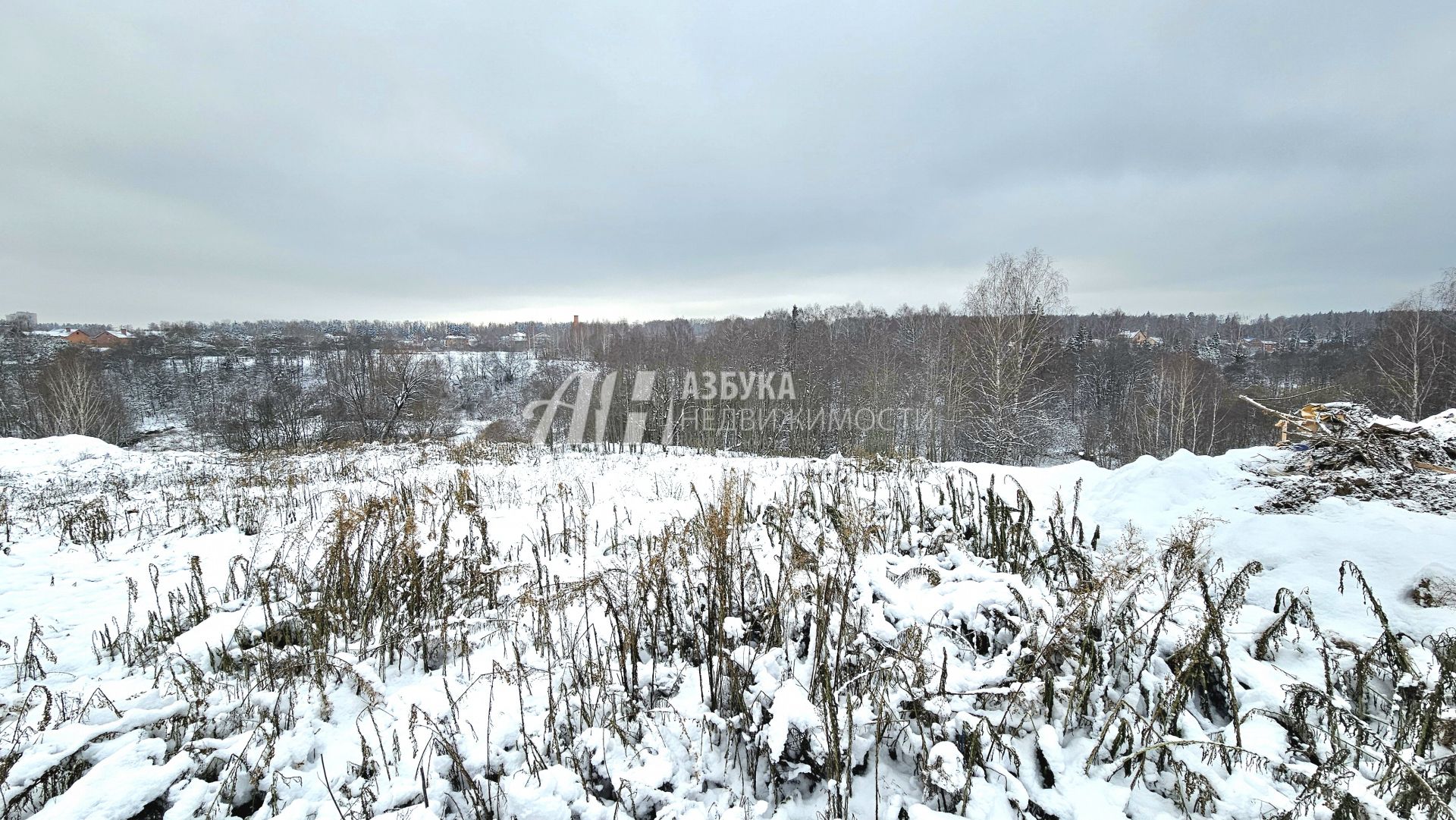 Земли поселения Московская область, городской округ Истра, деревня Кашино