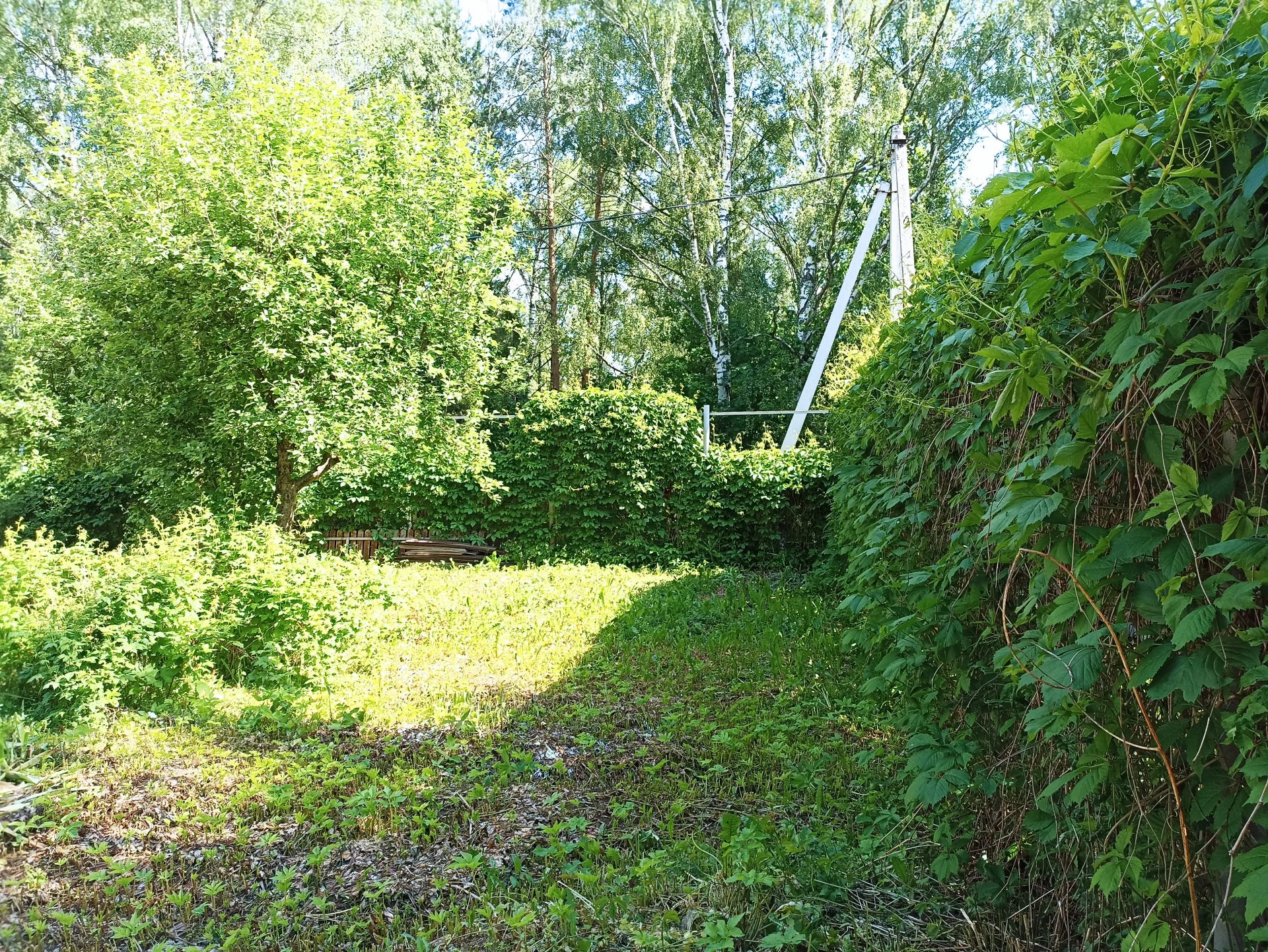 Дом Московская область, городской округ Истра, деревня Аносино