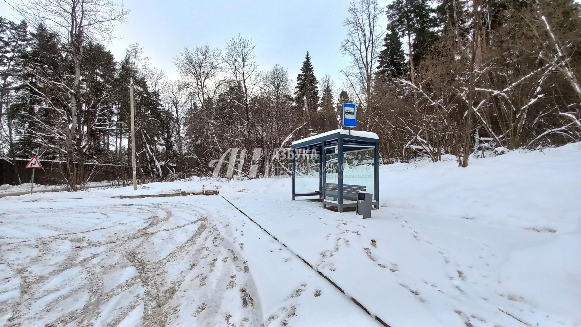 Дом Московская область, городской округ Истра, деревня Борки