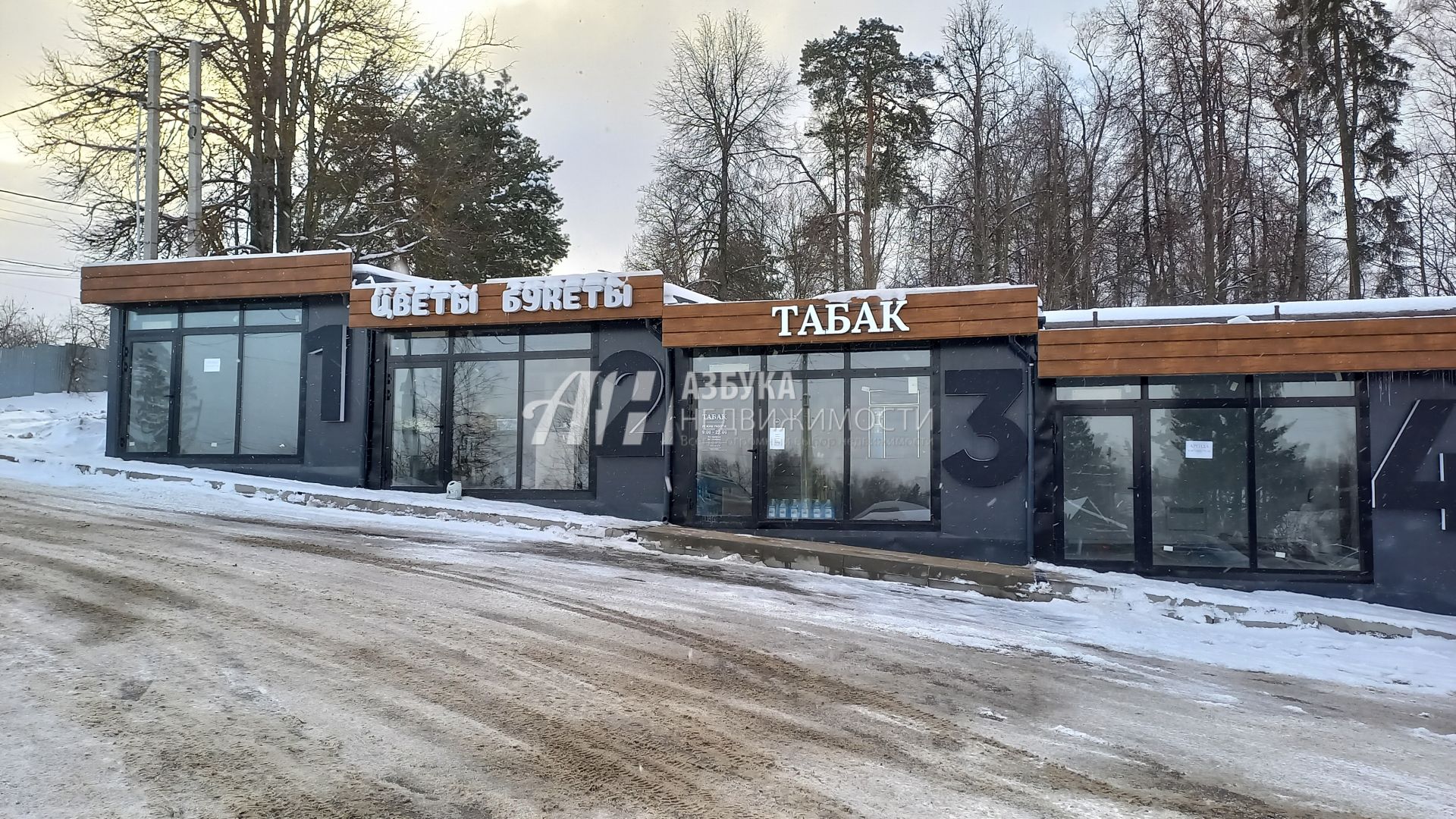 Дом Московская область, городской округ Истра, деревня Борки