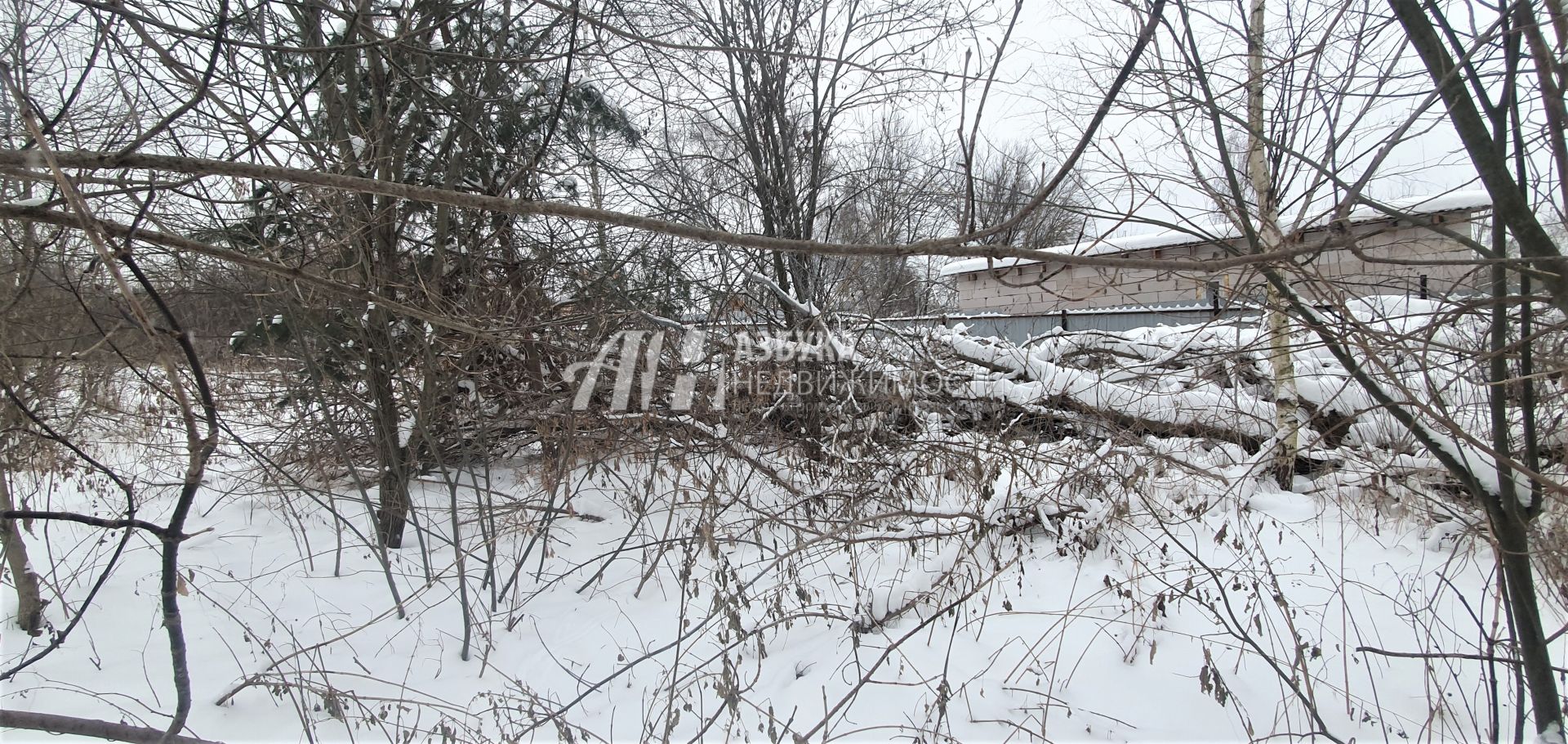 Земли поселения Московская область, Одинцовский городской округ, деревня Крюково