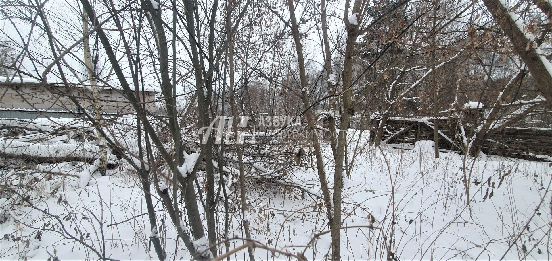 Земли поселения Московская область, Одинцовский городской округ, деревня Крюково