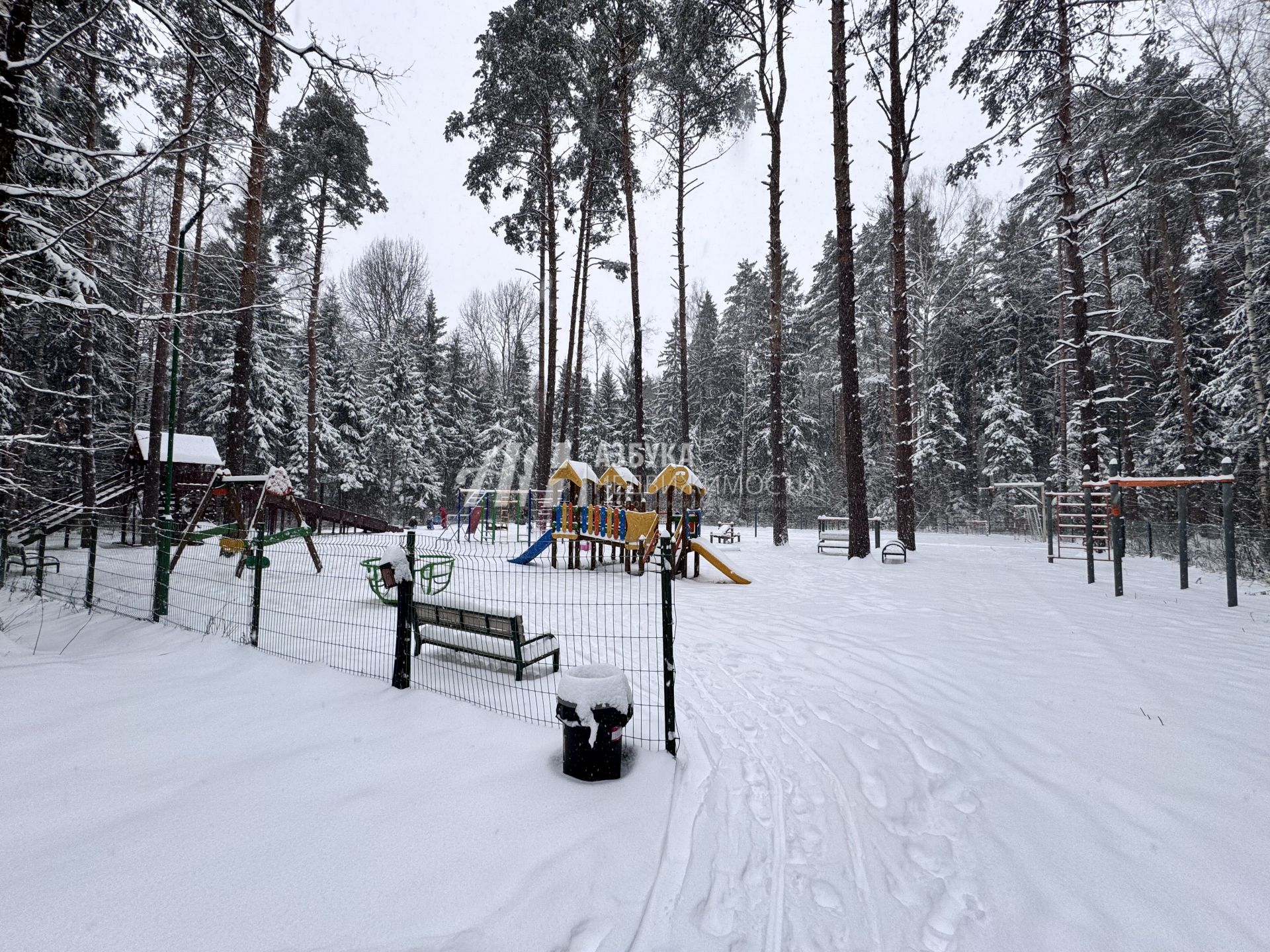 Земли поселения Московская область, городской округ Пушкинский, деревня Могильцы, микрорайон Пушкинский Лес