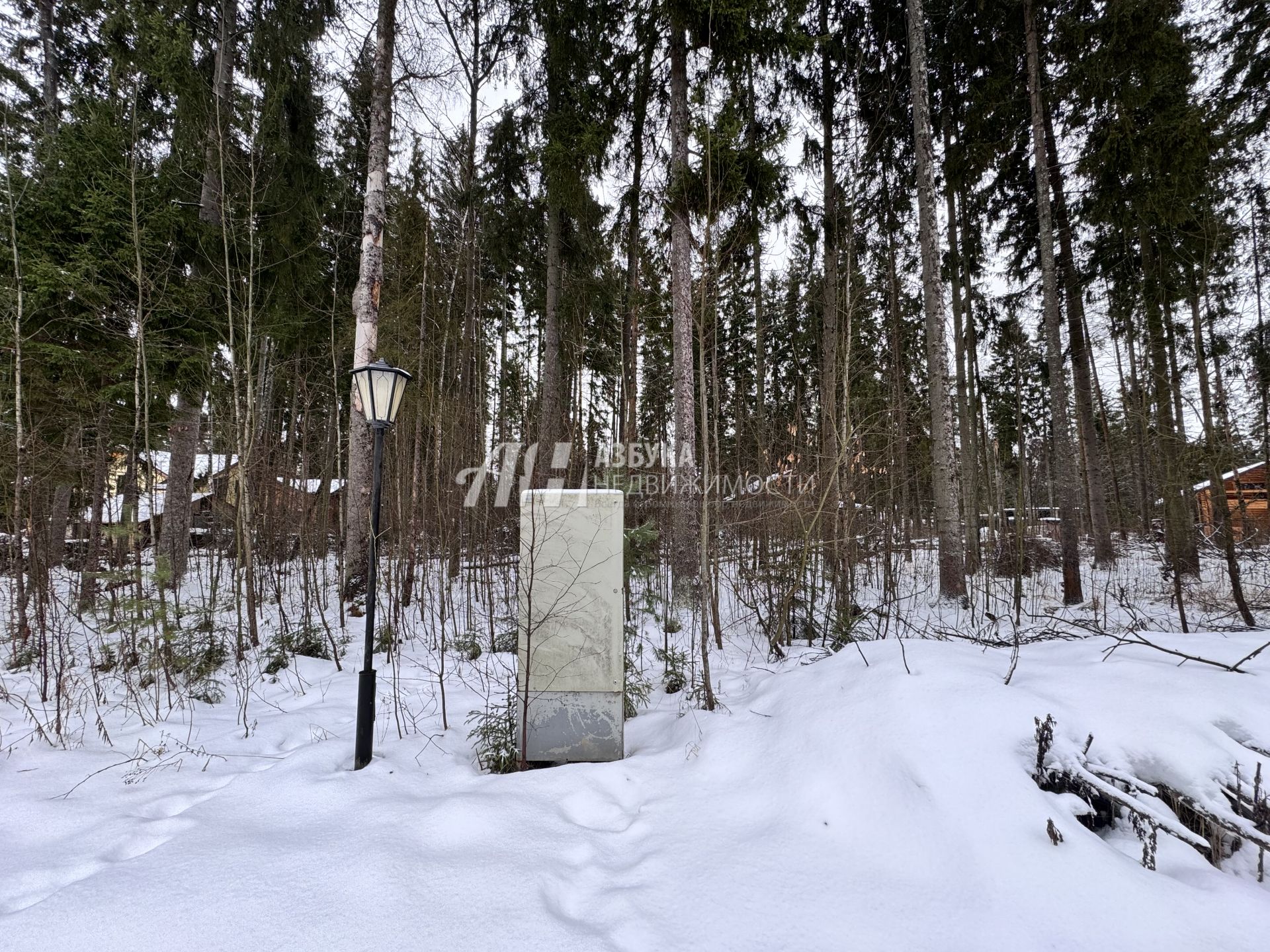 Земли поселения Московская область, городской округ Пушкинский, деревня Могильцы, коттеджный поселок Пушкинский лес