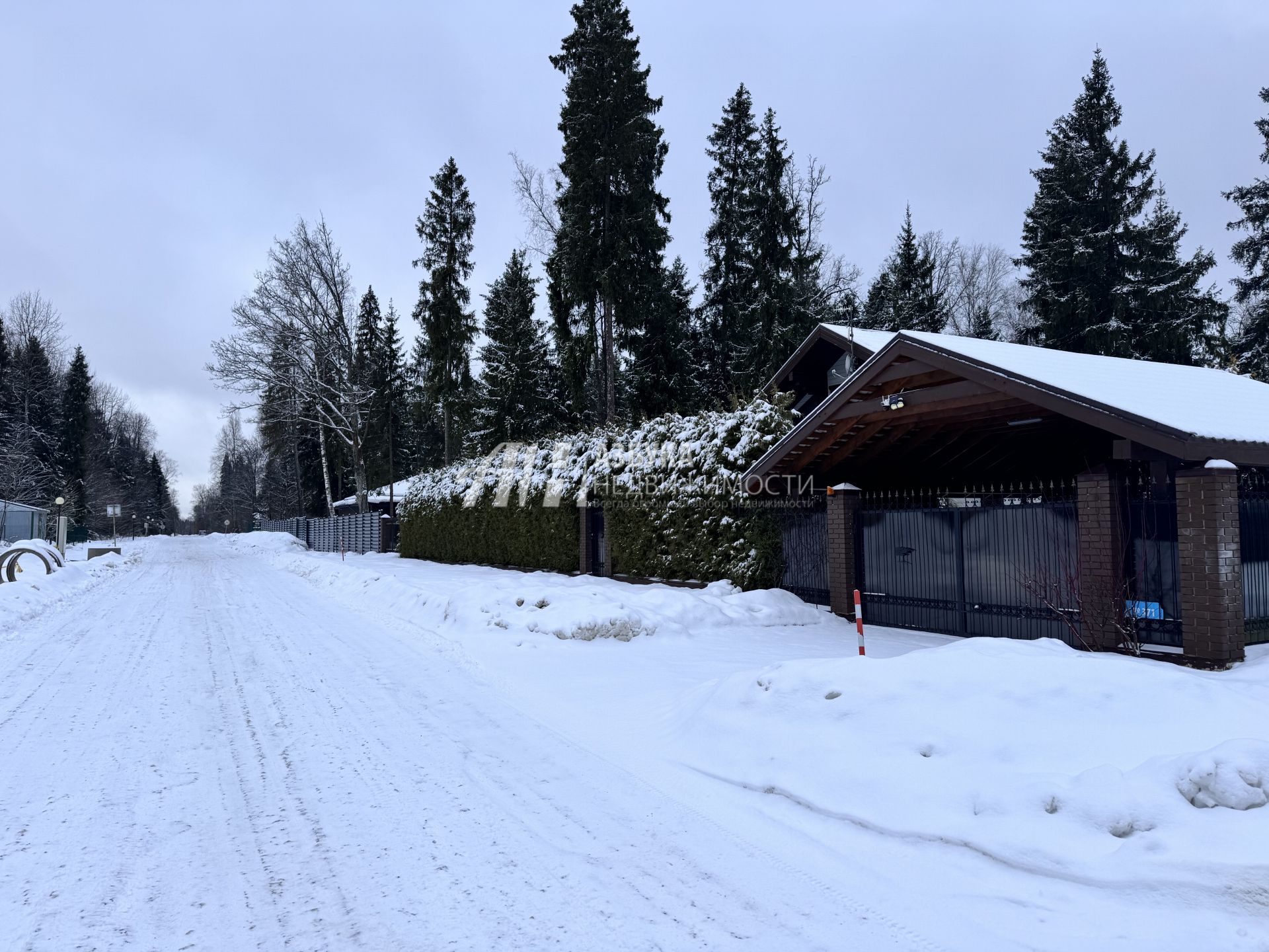 Земли поселения Московская область, городской округ Пушкинский, деревня Могильцы, коттеджный поселок Пушкинский лес