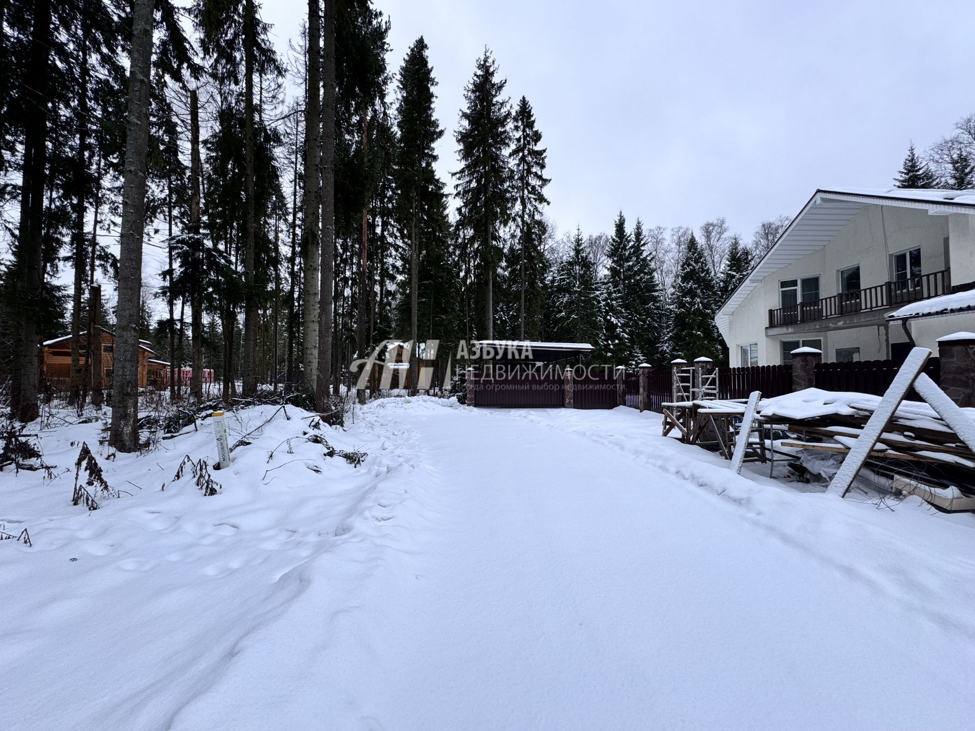 Земли поселения Московская область, городской округ Пушкинский, деревня Могильцы, коттеджный поселок Пушкинский лес