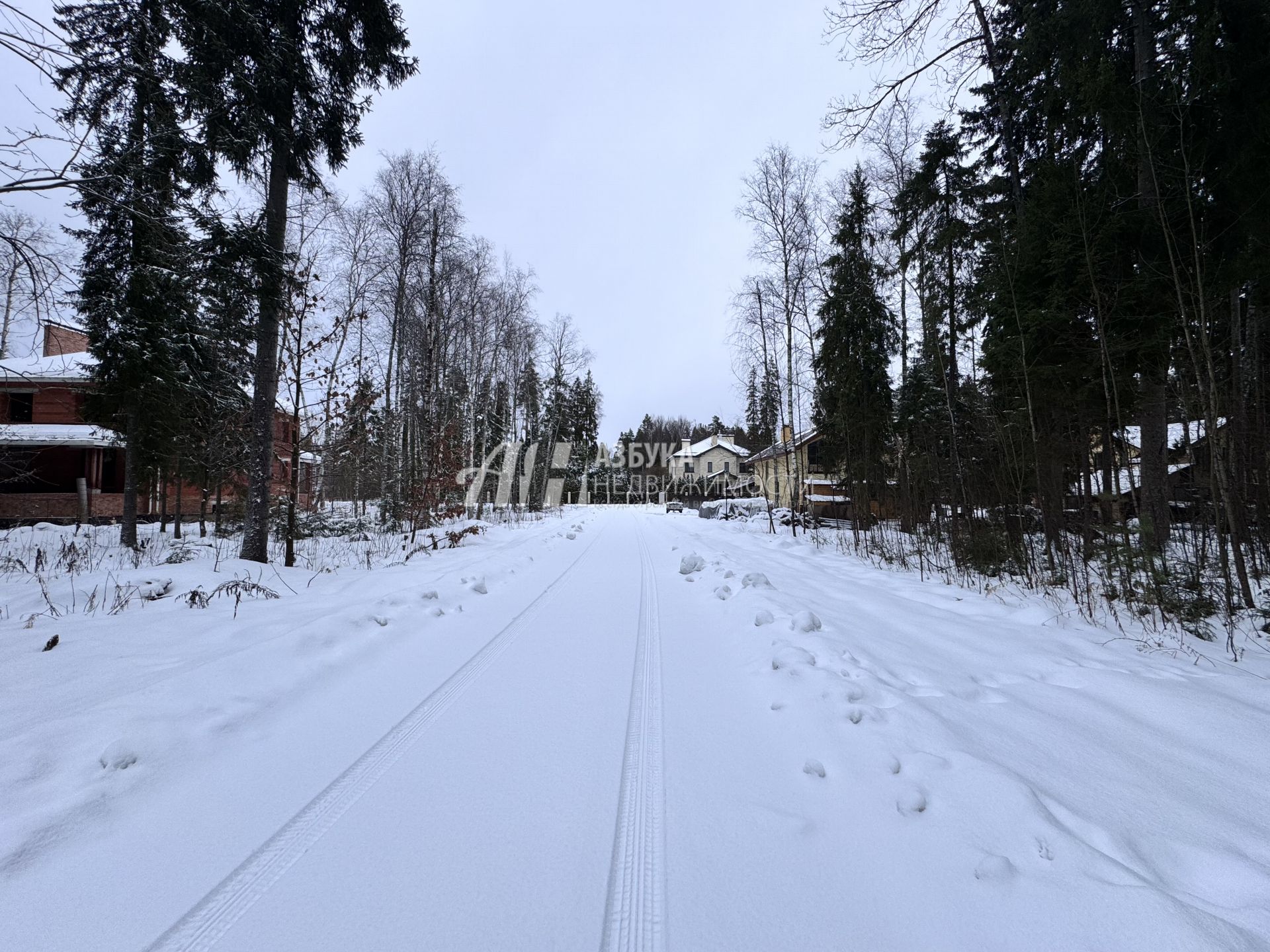 Земли поселения Московская область, городской округ Пушкинский, деревня Могильцы, коттеджный поселок Пушкинский лес