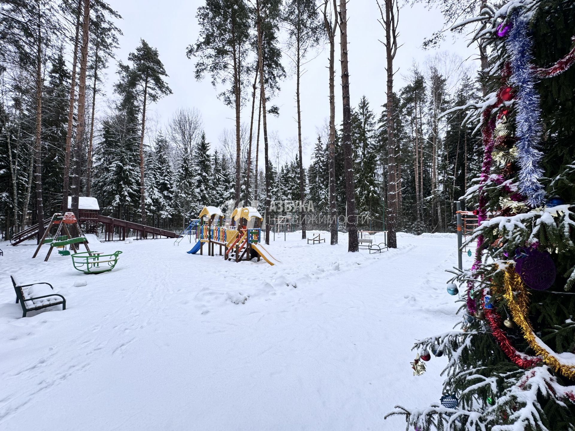 Земли поселения Московская область, городской округ Пушкинский, деревня Могильцы, коттеджный поселок Пушкинский лес