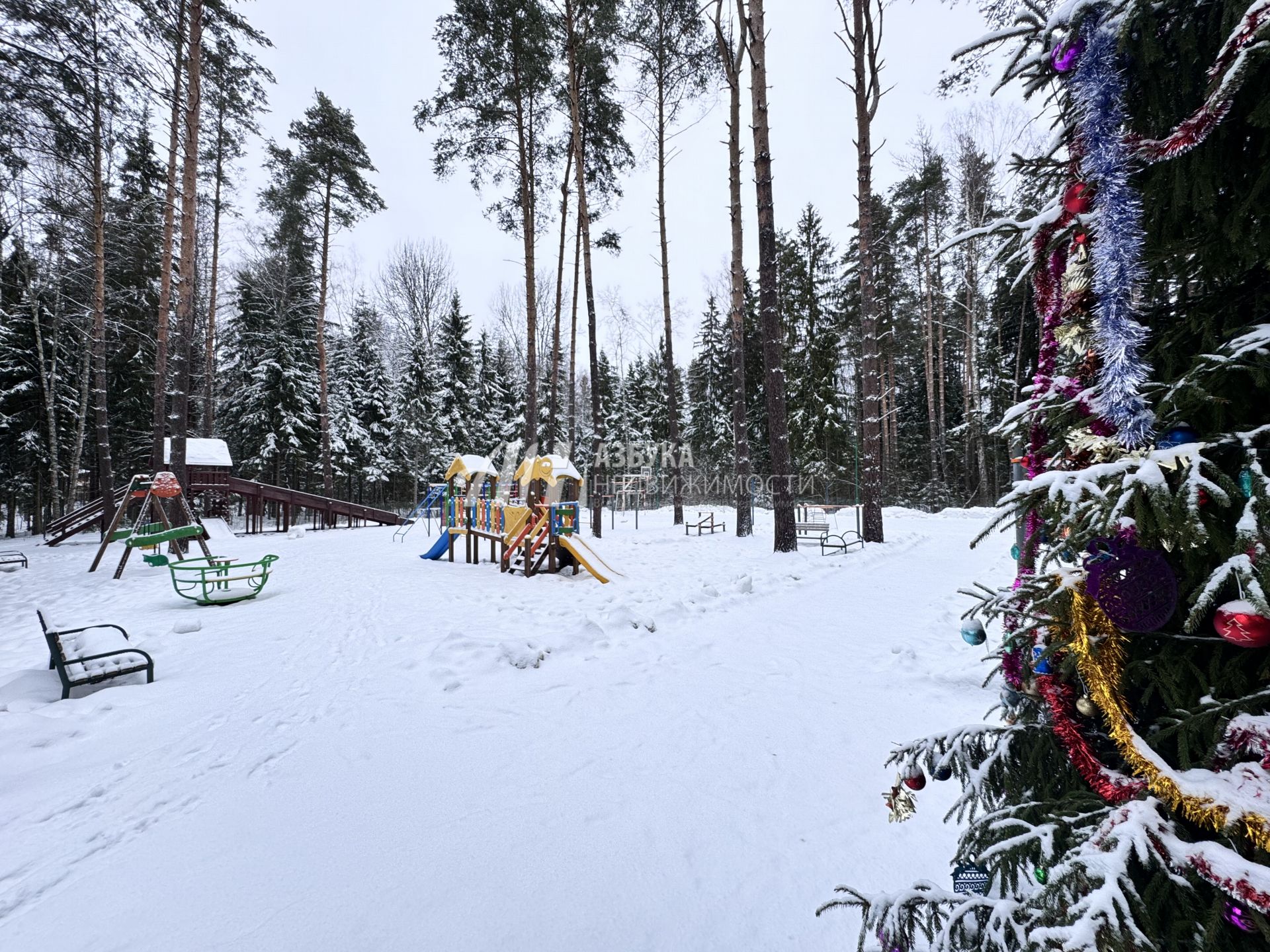 Земли поселения Московская область, городской округ Пушкинский, деревня Назарово