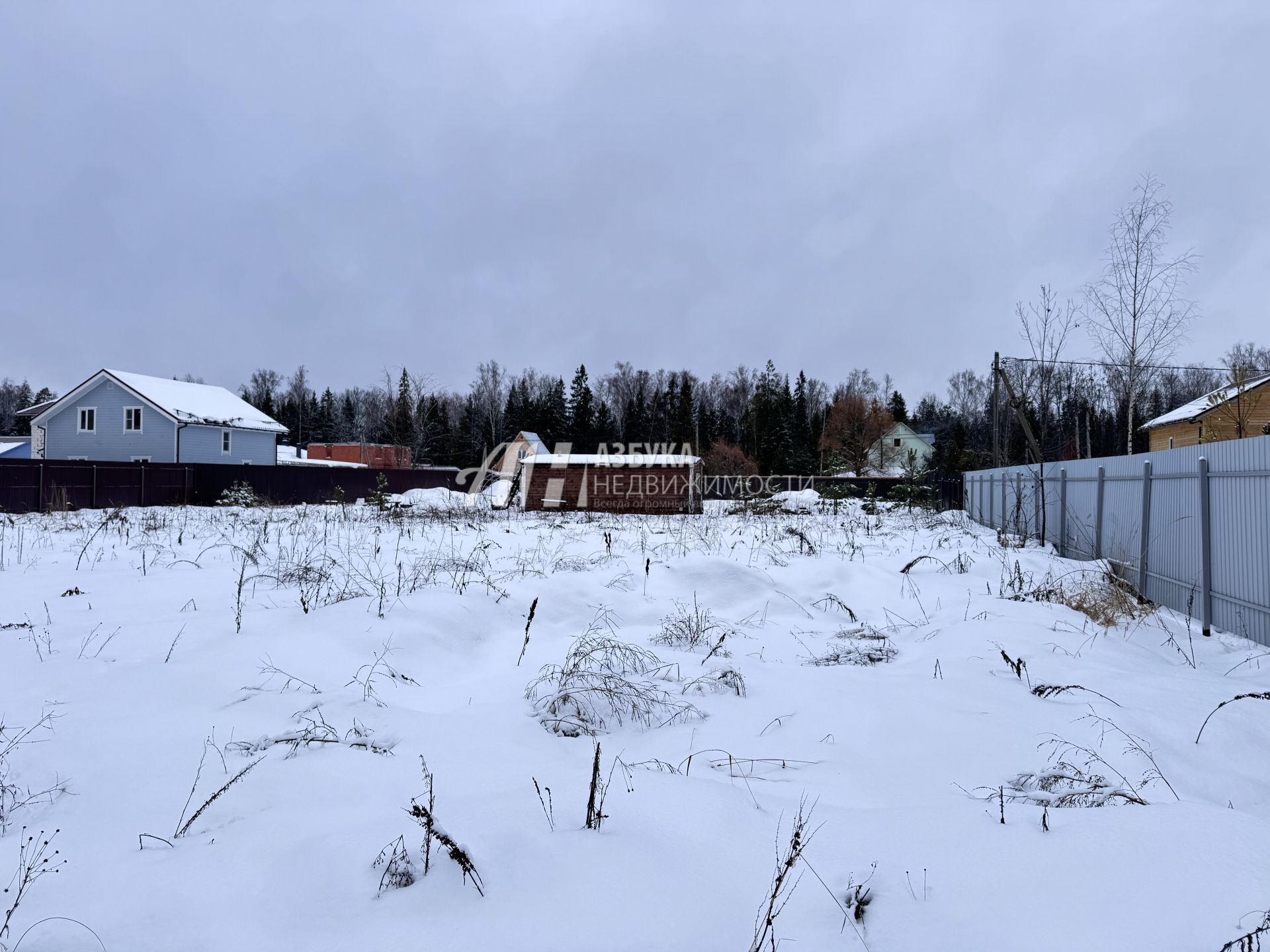 Земли поселения Московская область, городской округ Пушкинский, деревня Назарово