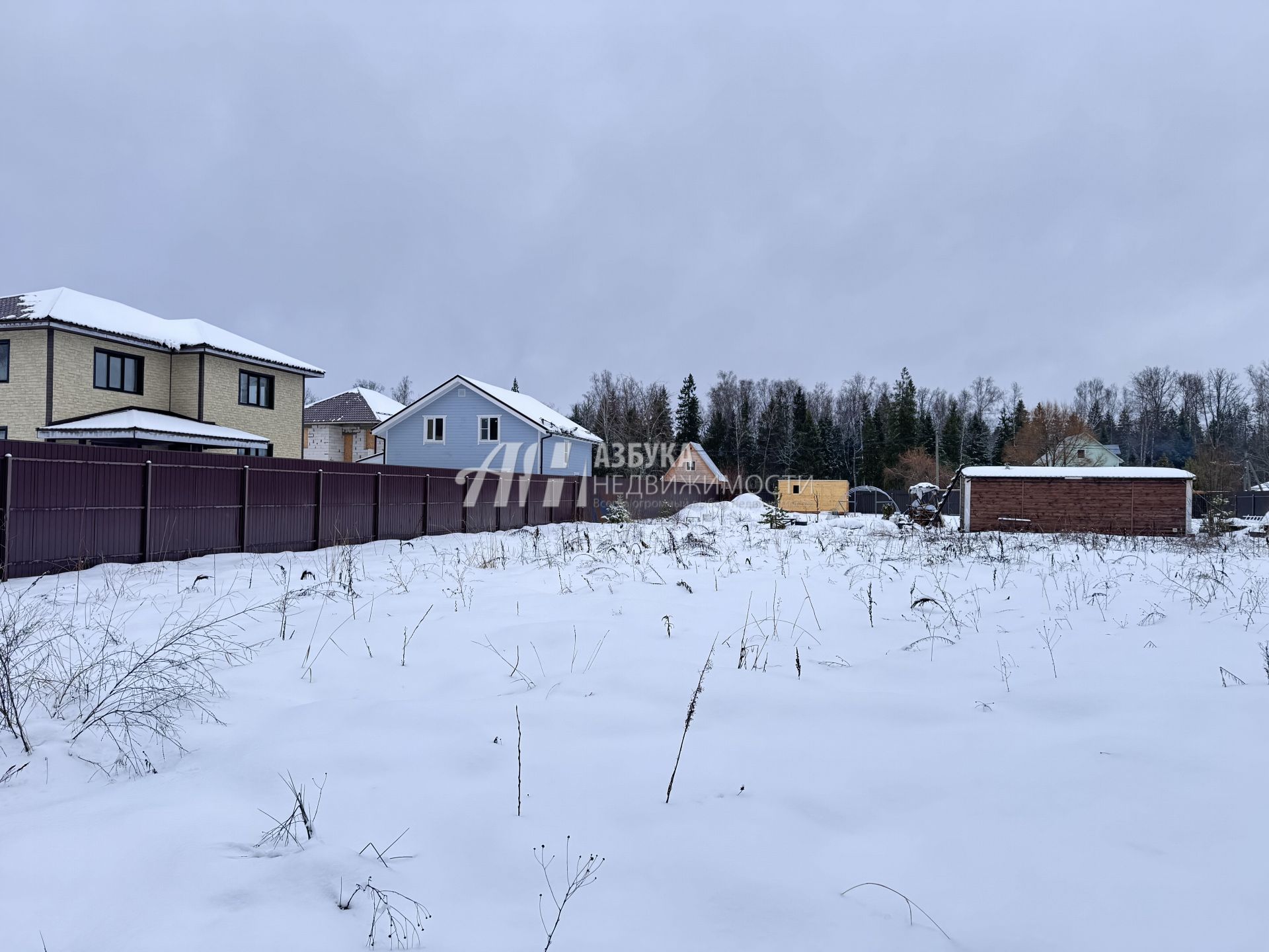 Земли поселения Московская область, городской округ Пушкинский, деревня Назарово