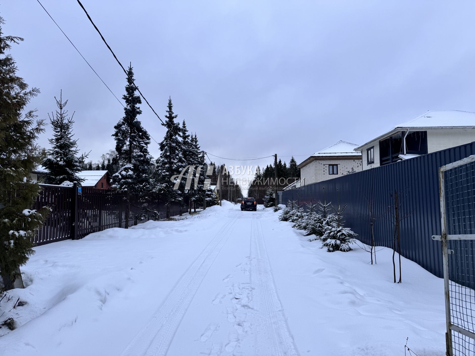 Земли поселения Московская область, городской округ Пушкинский, деревня Назарово