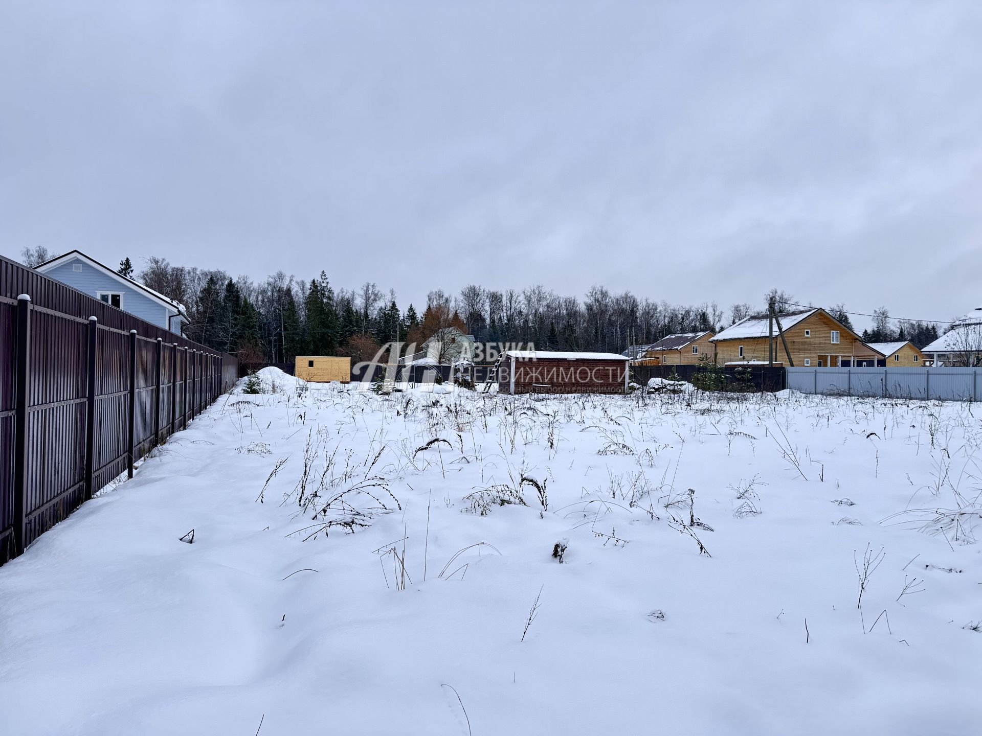 Земли поселения Московская область, городской округ Пушкинский, деревня Назарово