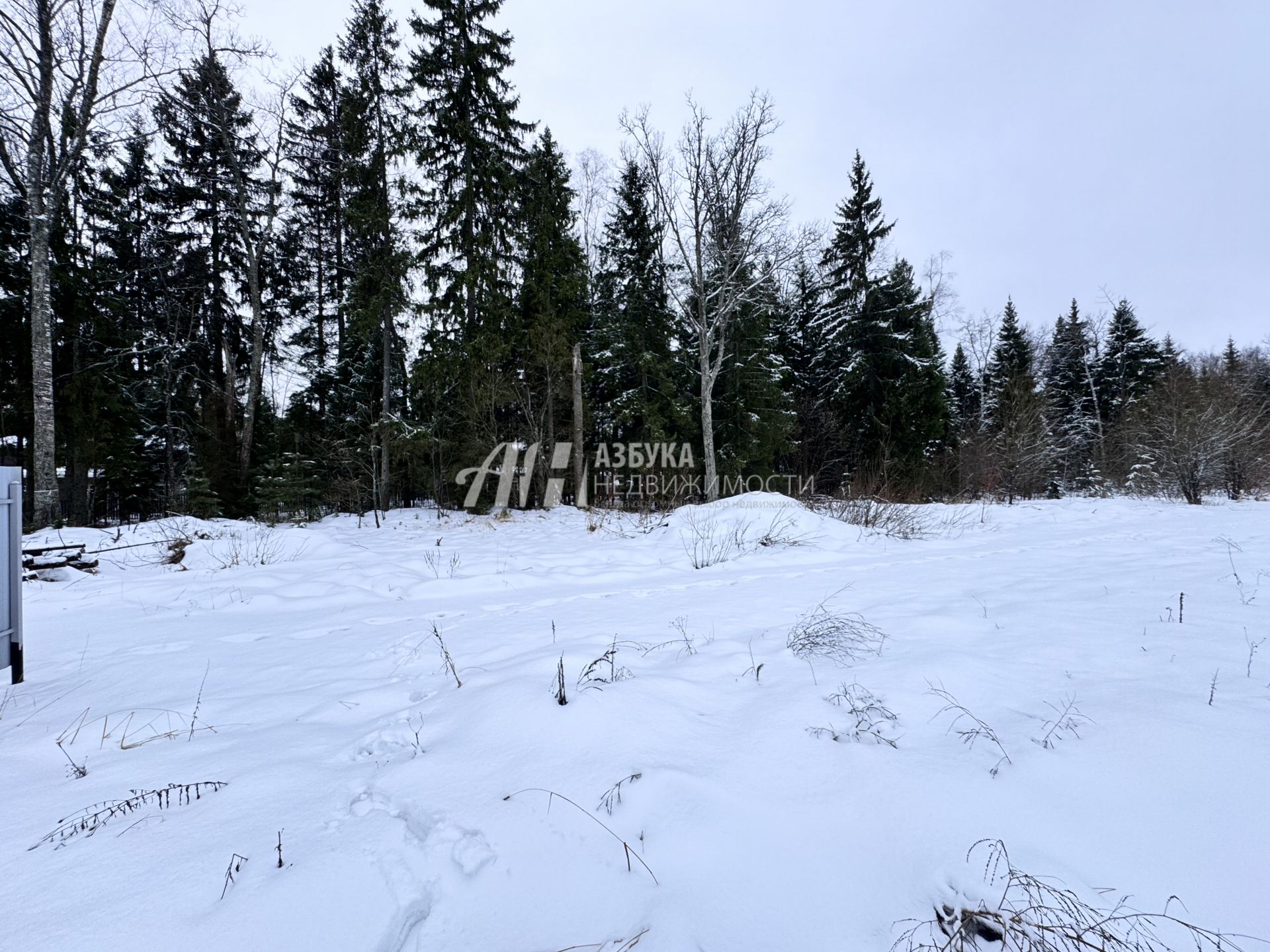 Земли поселения Московская область, городской округ Пушкинский, деревня Назарово