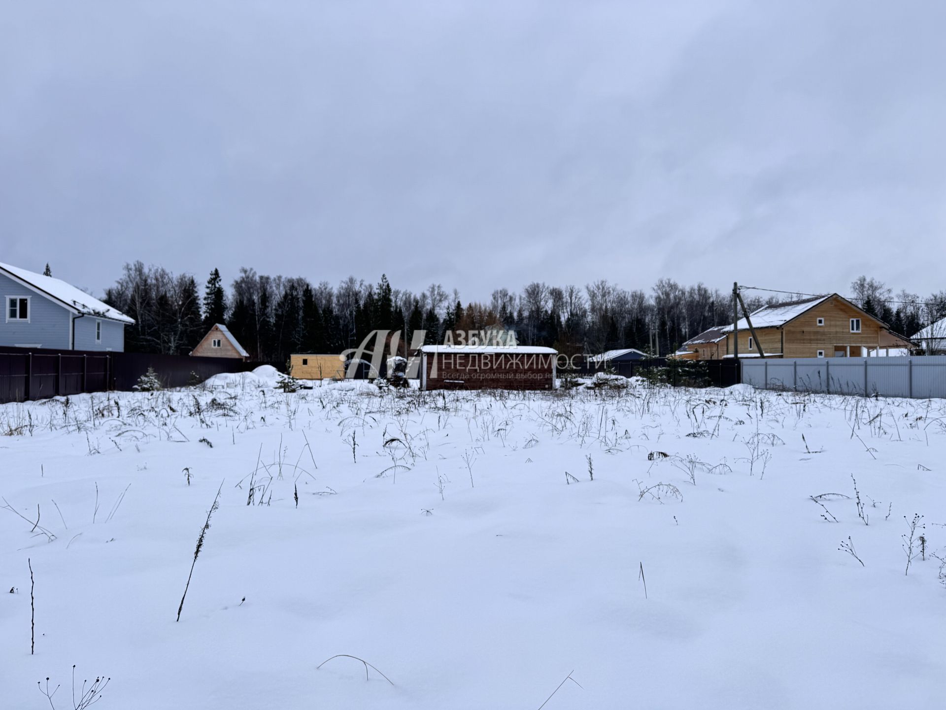 Земли поселения Московская область, городской округ Пушкинский, деревня Назарово