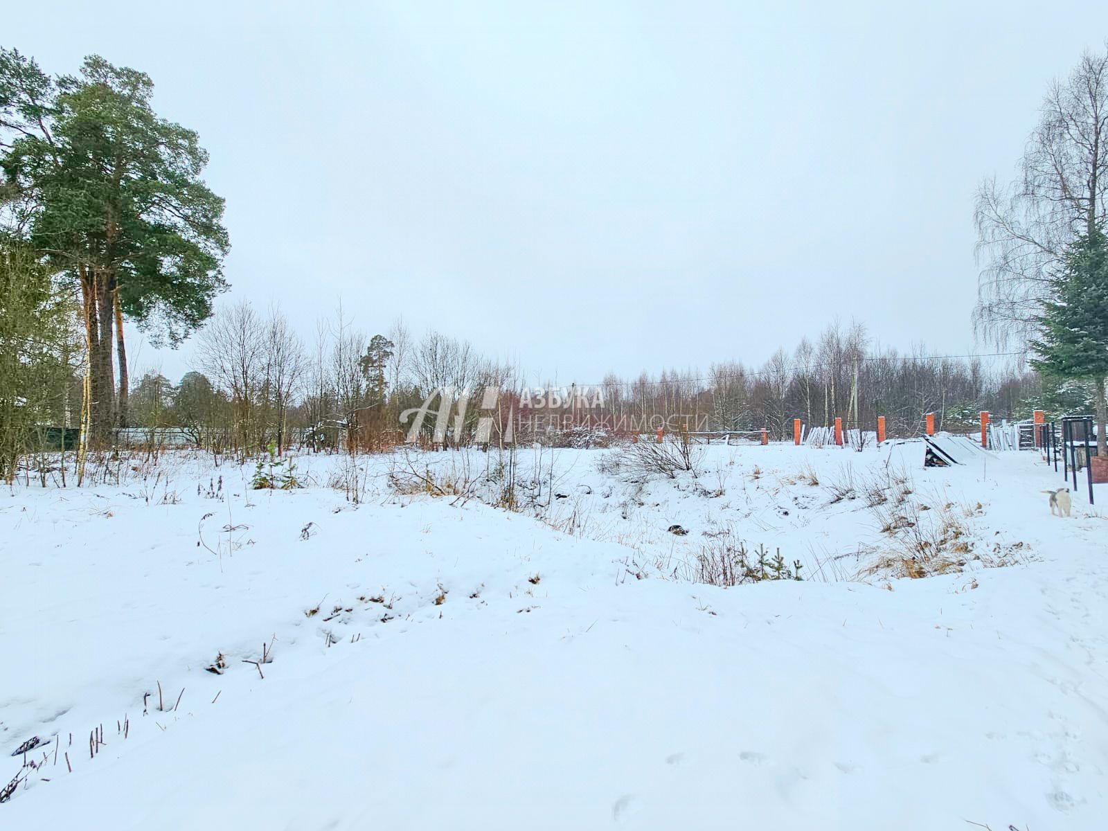 Земли поселения Московская область, Одинцовский городской округ, посёлок Новый Городок