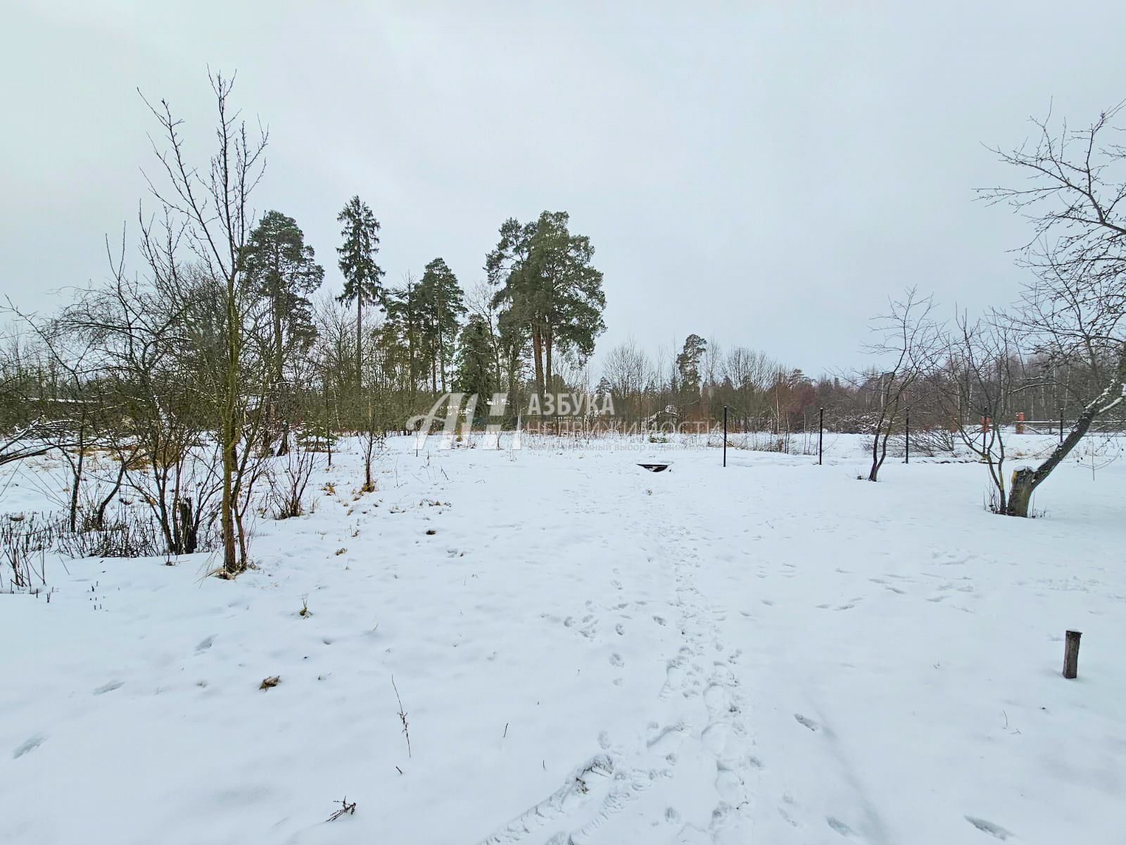 Земли поселения Московская область, Одинцовский городской округ, посёлок Новый Городок