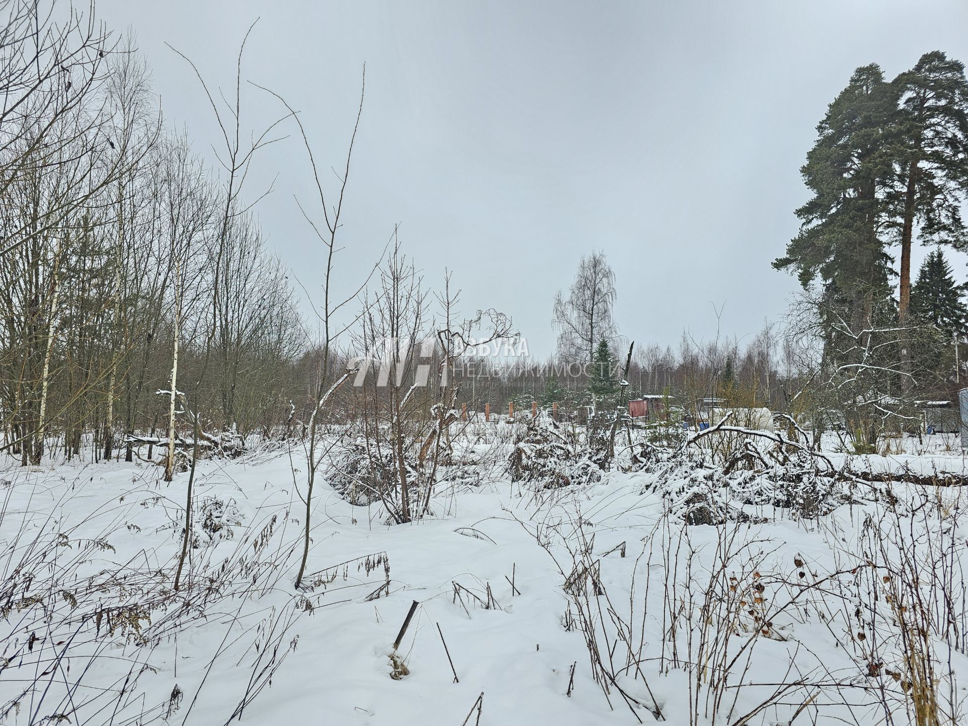 Земли поселения Московская область, Одинцовский городской округ, посёлок Новый Городок