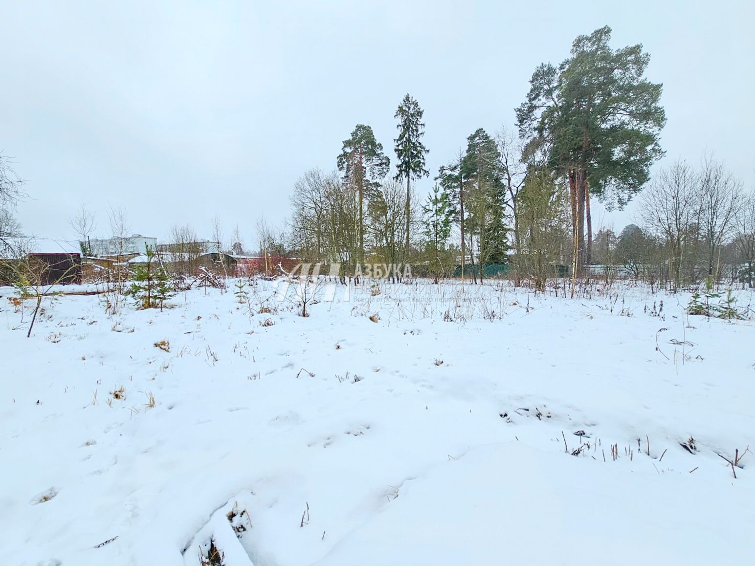 Земли поселения Московская область, Одинцовский городской округ, посёлок Новый Городок