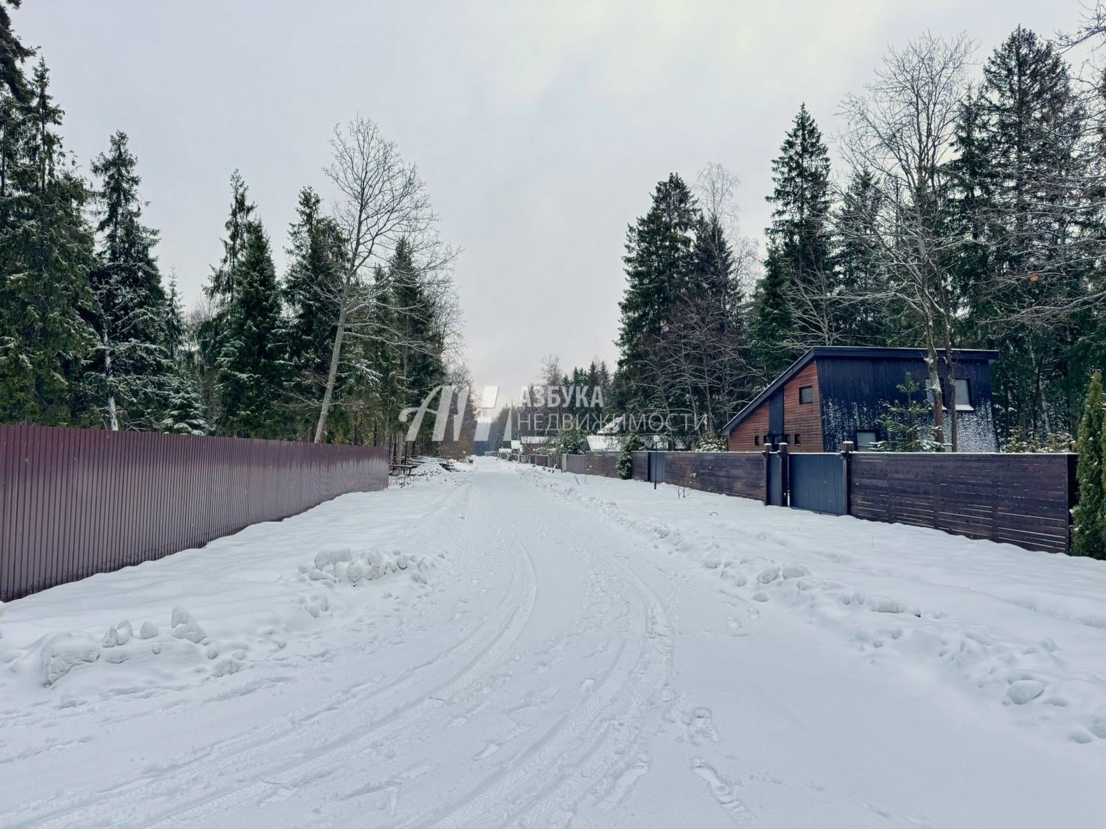 Земли поселения Московская область, городской округ Пушкинский, деревня Могильцы, коттеджный поселок Пушкинский лес